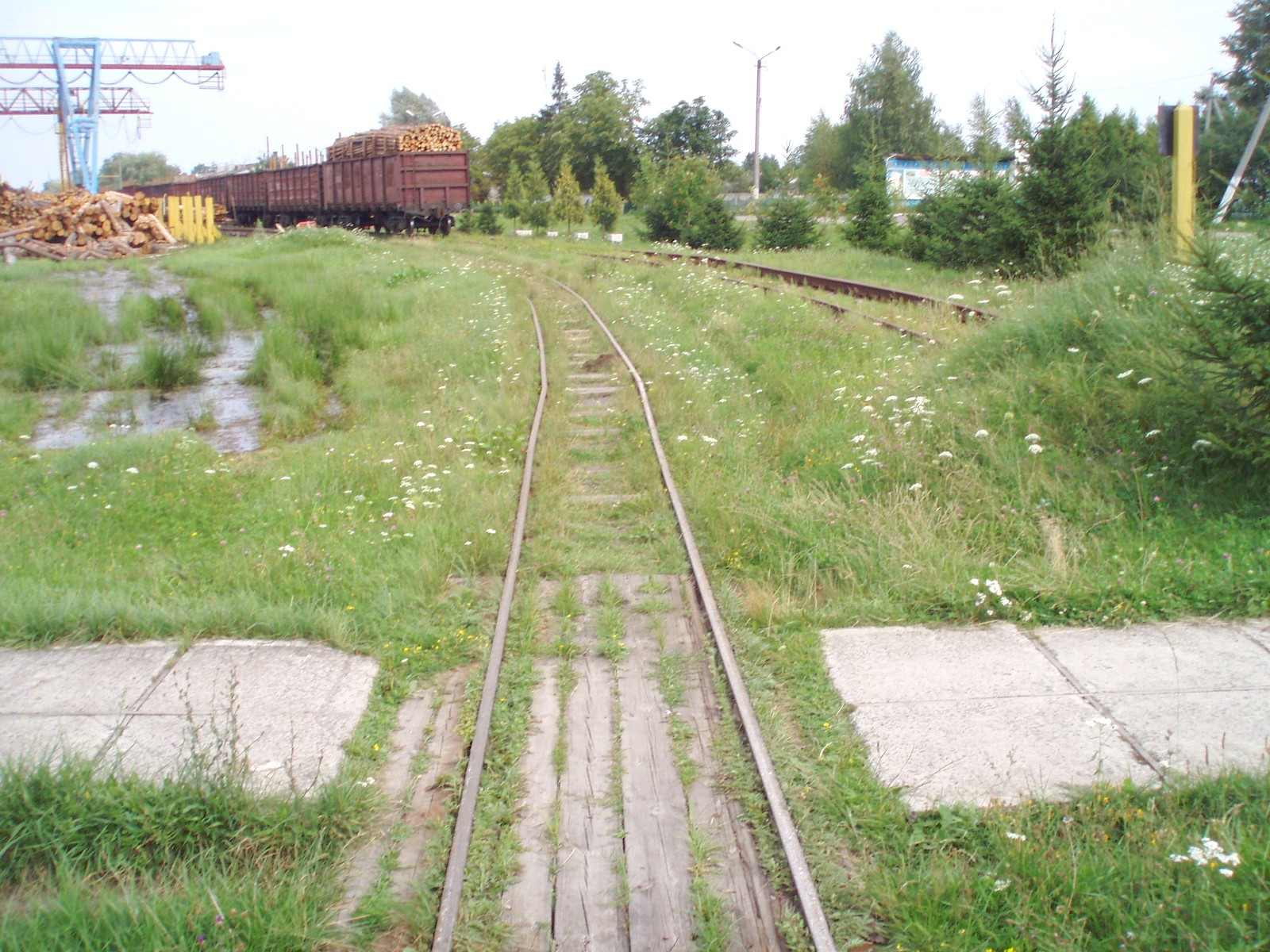 Узкоколейная железная дорога Рокитновского лесопромышленного комплекса
  —  фотографии, сделанные в 2007 году (часть 3)