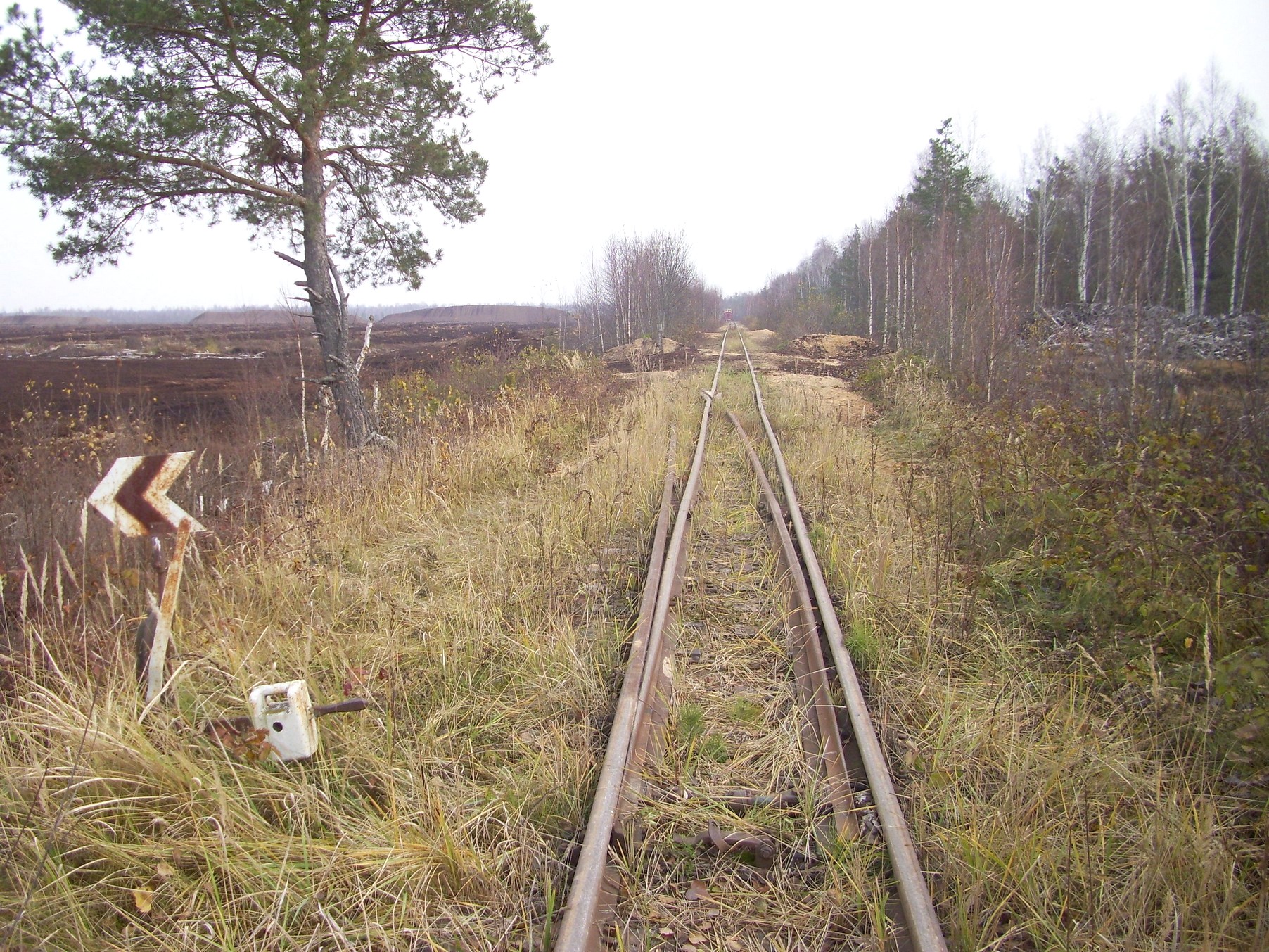 Узкоколейная железная дорога торфопредприятия «Татарка» — фотографии, сделанные в 2011 году (часть 6)