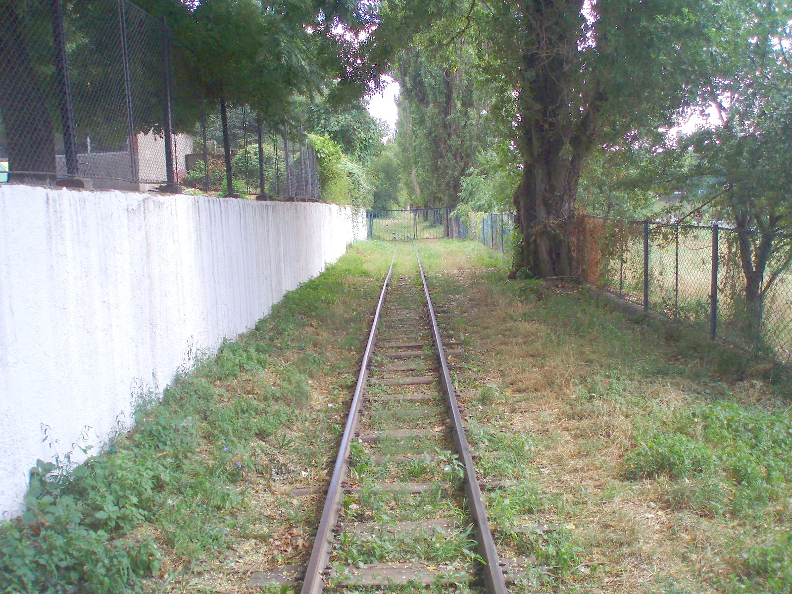 Ужгородская детская железная дорога  —  фотографии, сделанные в 2007 году (часть 3)