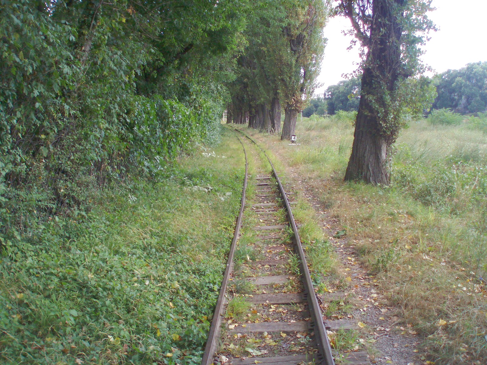 Ужгородская детская железная дорога  —  фотографии, сделанные в 2007 году (часть 4)