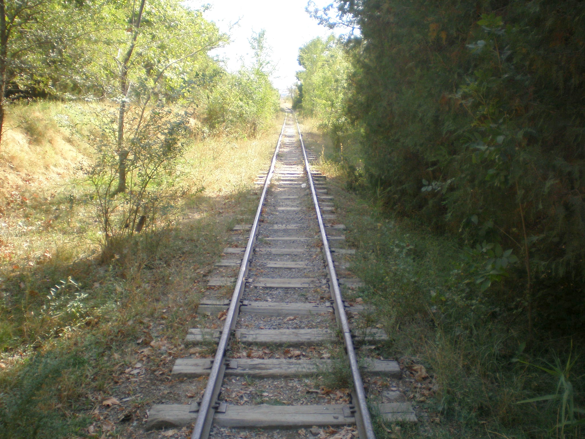 Чимкентская детская железная дорога  —  фотографии, сделанные в 2008 году (часть 9)