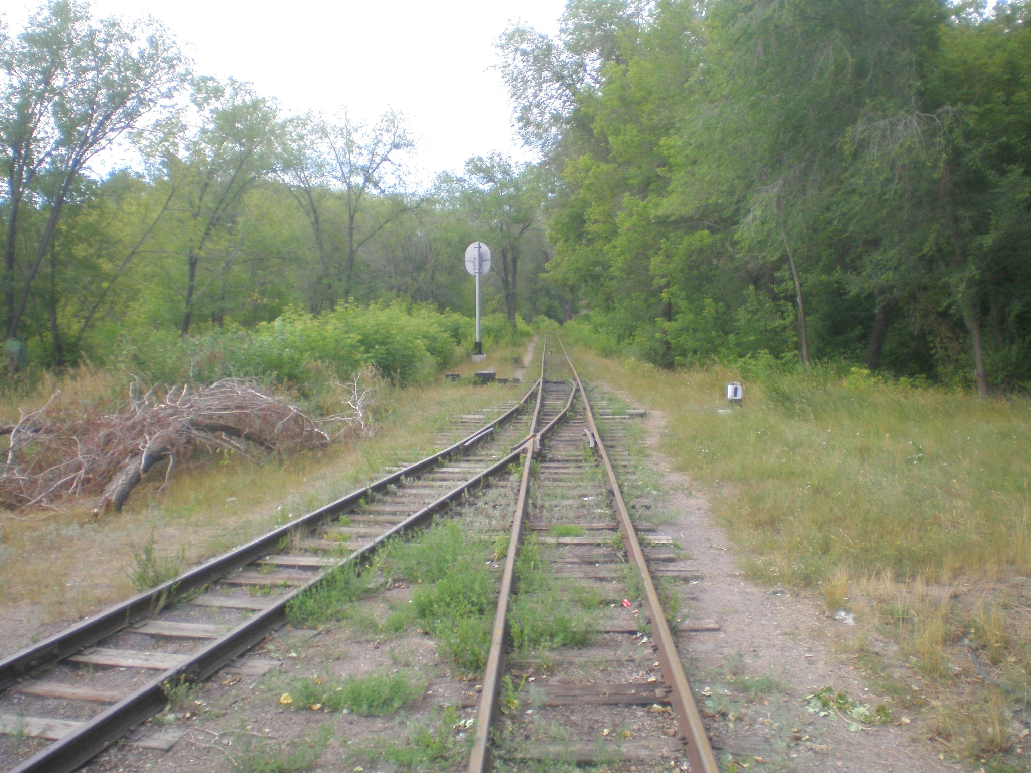 Карагандинская детская железная дорога  —  фотографии, сделанные в 2009 году (часть 1)