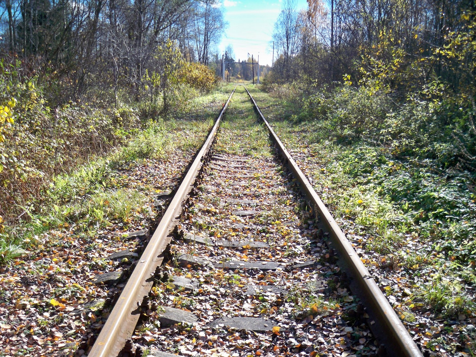 Железнодорожная линия Решетниково   —  Конаково
  —  фотографии, сделанные в 2013 году (часть 2)