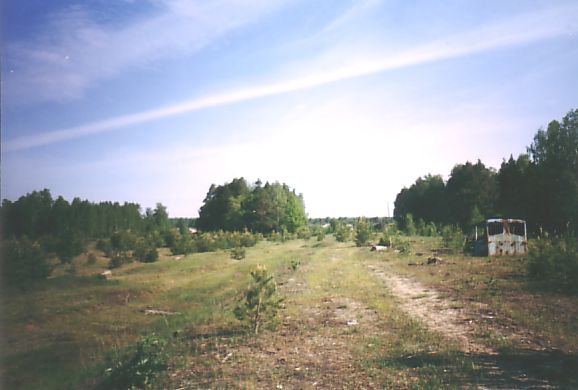 Узкоколейная железная дорога Разинского леспромхоза