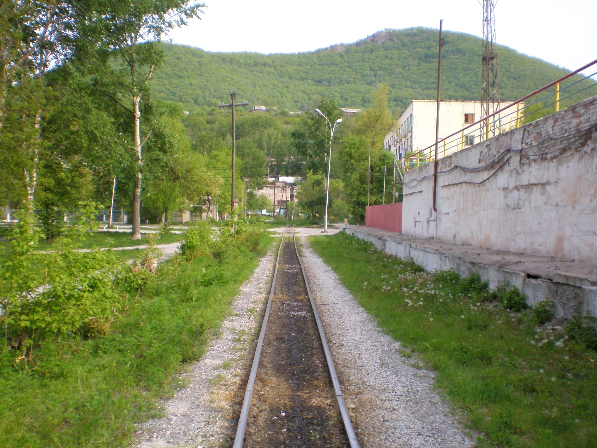 Тетюхинская узкоколейная железная дорога  —  фотографии, сделанные в 2008 году (часть 10)