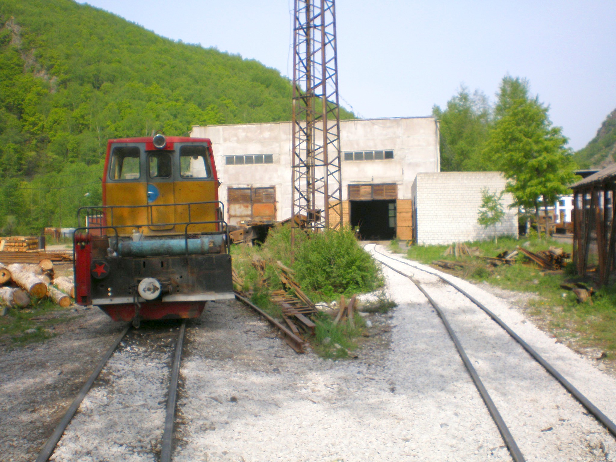 Тетюхинская узкоколейная железная дорога  —  фотографии, сделанные в 2008 году (часть 13)