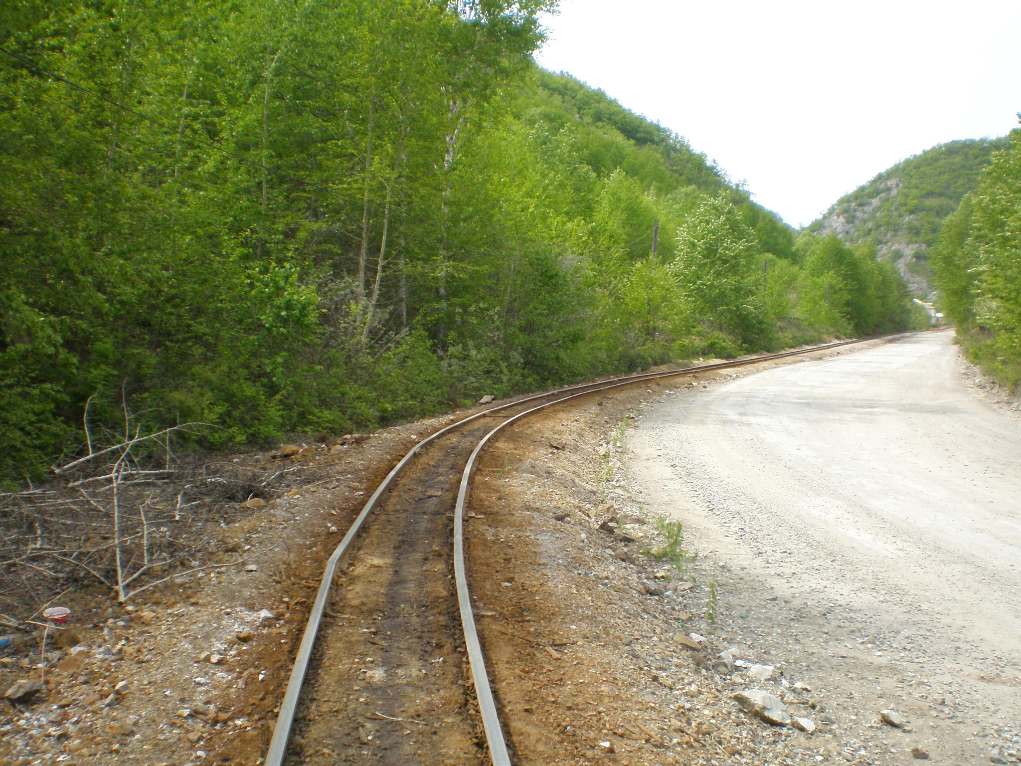 Тетюхинская узкоколейная железная дорога  —  фотографии, сделанные в 2008 году (часть 5)