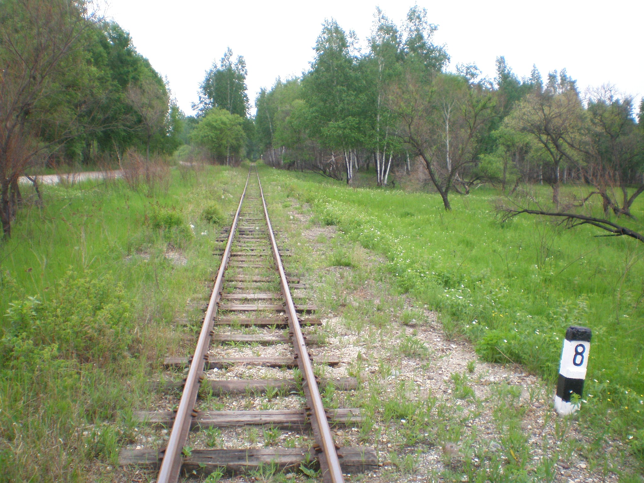 Свободненская детская железная дорога  —  фотографии, сделанные в 2008 году (часть 17)