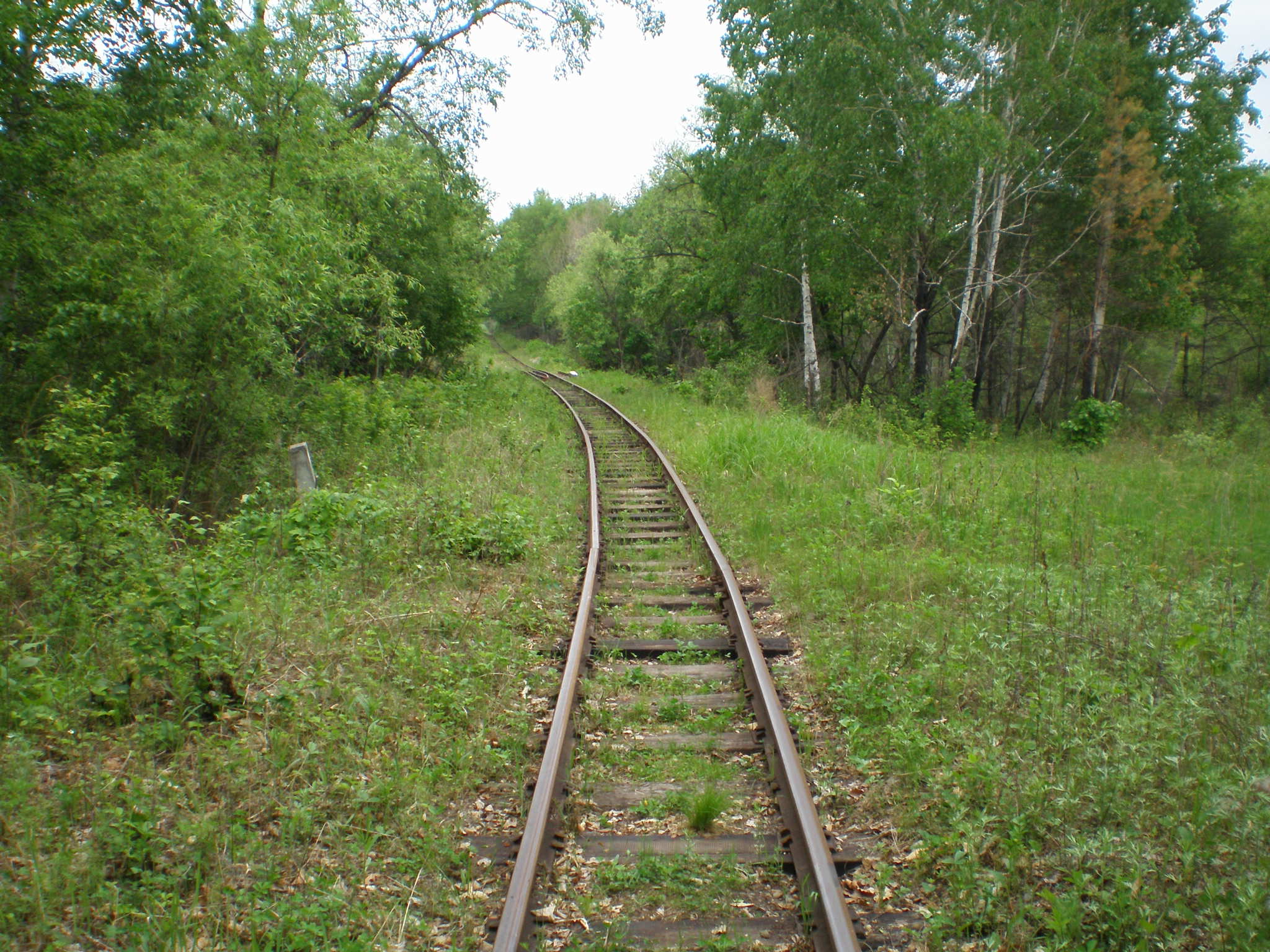 Свободненская детская железная дорога  —  фотографии, сделанные в 2008 году (часть 18)