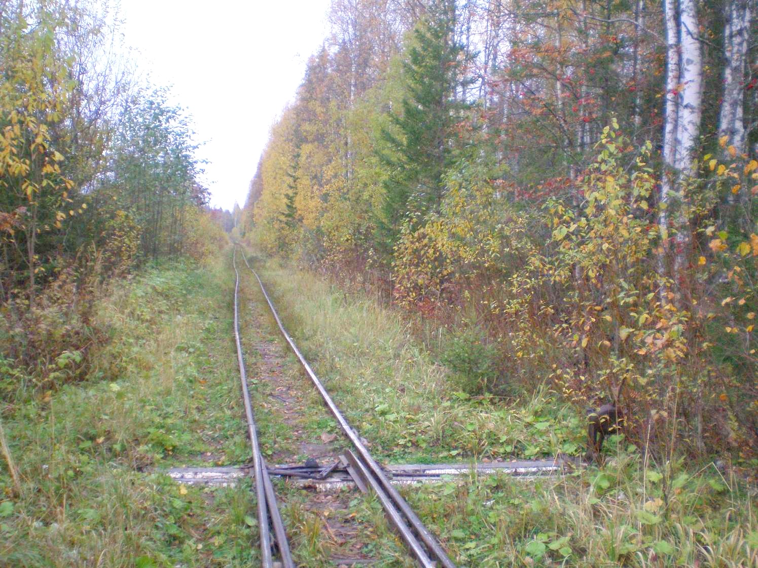 Лунданская узкоколейная железная дорога  —  фотографии, сделанные в 2007 году (часть 6)
