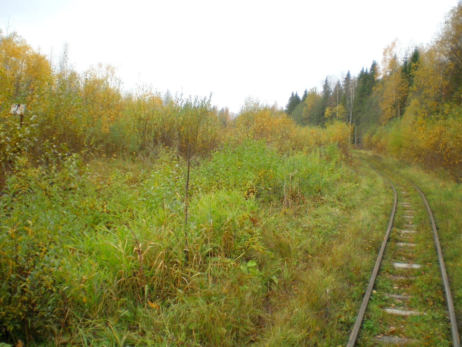 Лунданская узкоколейная железная дорога  —  фотографии, сделанные в 2007 году (часть 7)