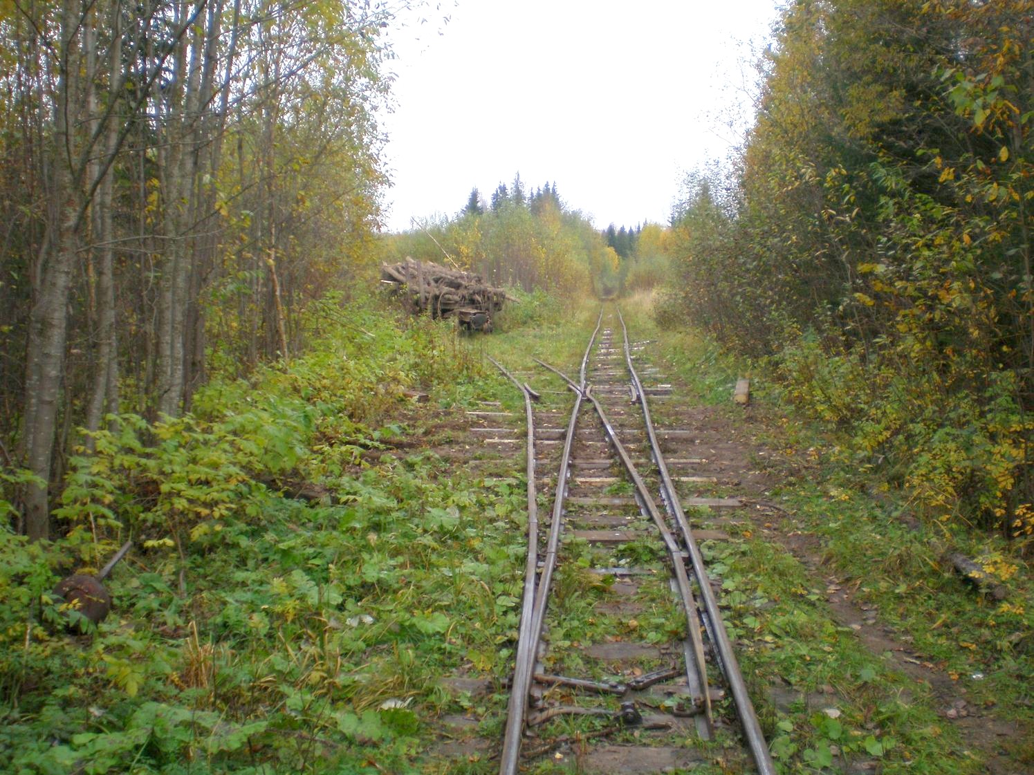 Лунданская узкоколейная железная дорога  —  фотографии, сделанные в 2007 году (часть 8)