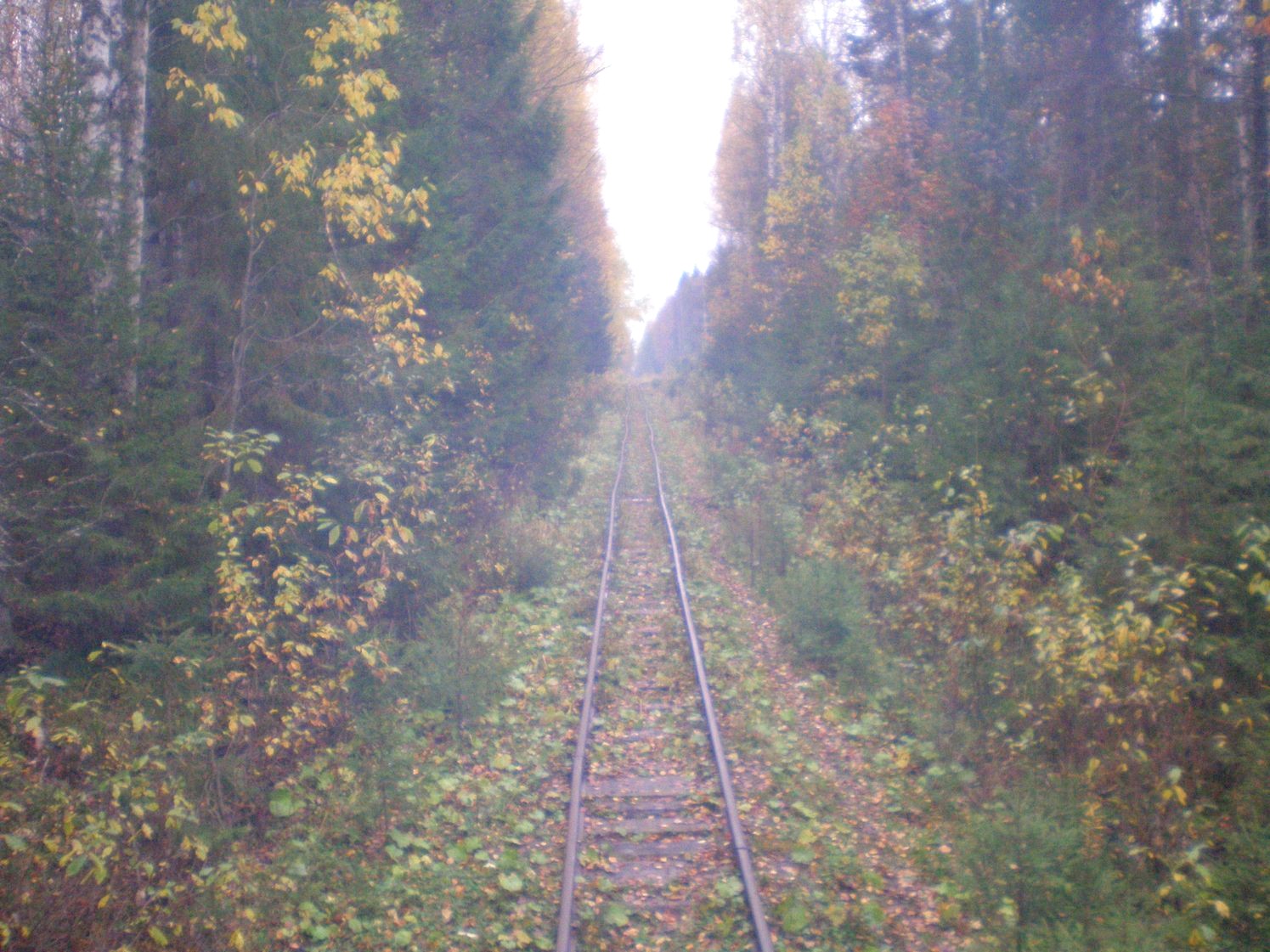 Лунданская узкоколейная железная дорога  —  фотографии, сделанные в 2007 году (часть 5)