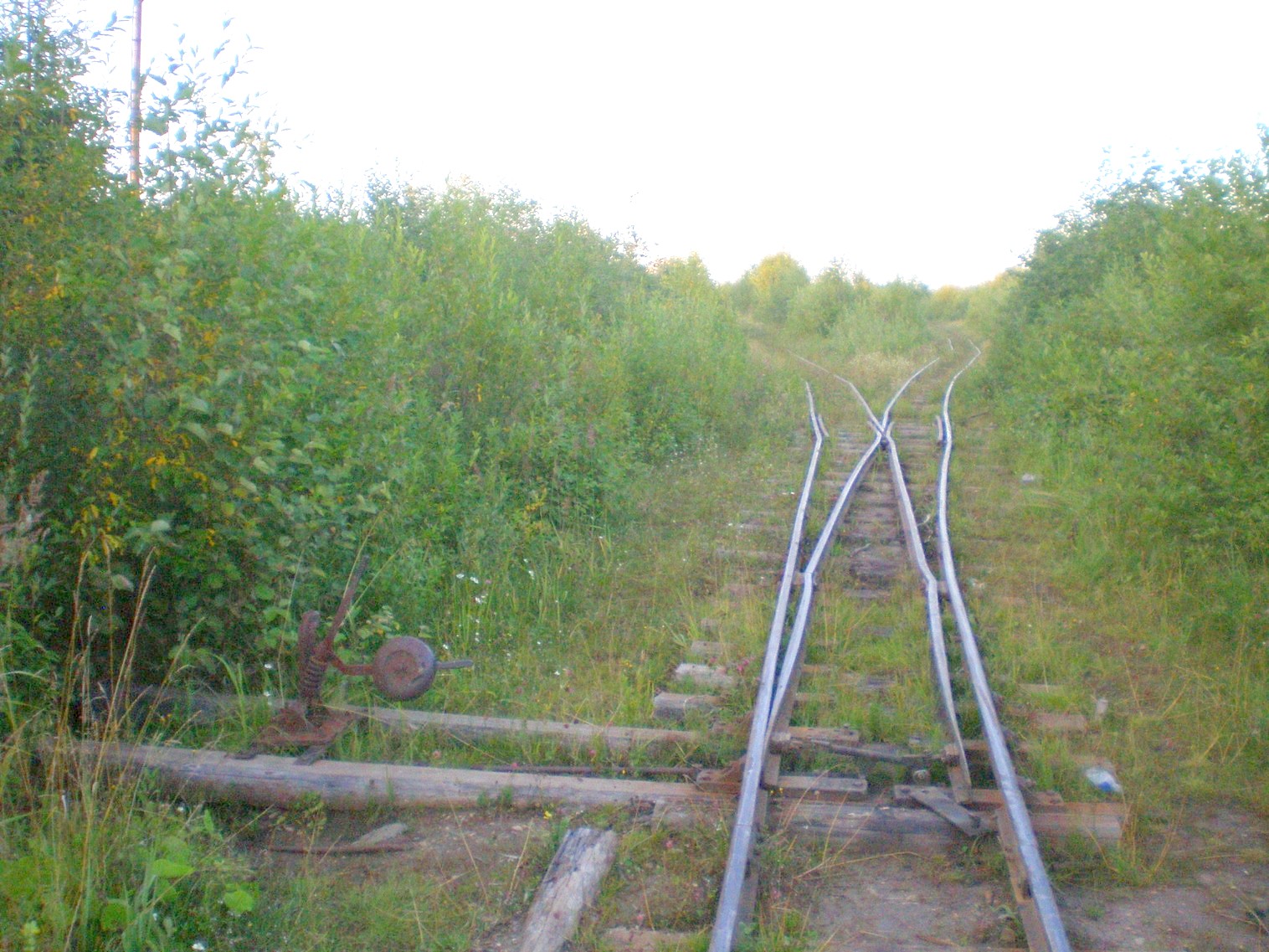 Митинская узкоколейная железная дорога 
  —  фотографии, сделанные в 2008 году (часть 6)