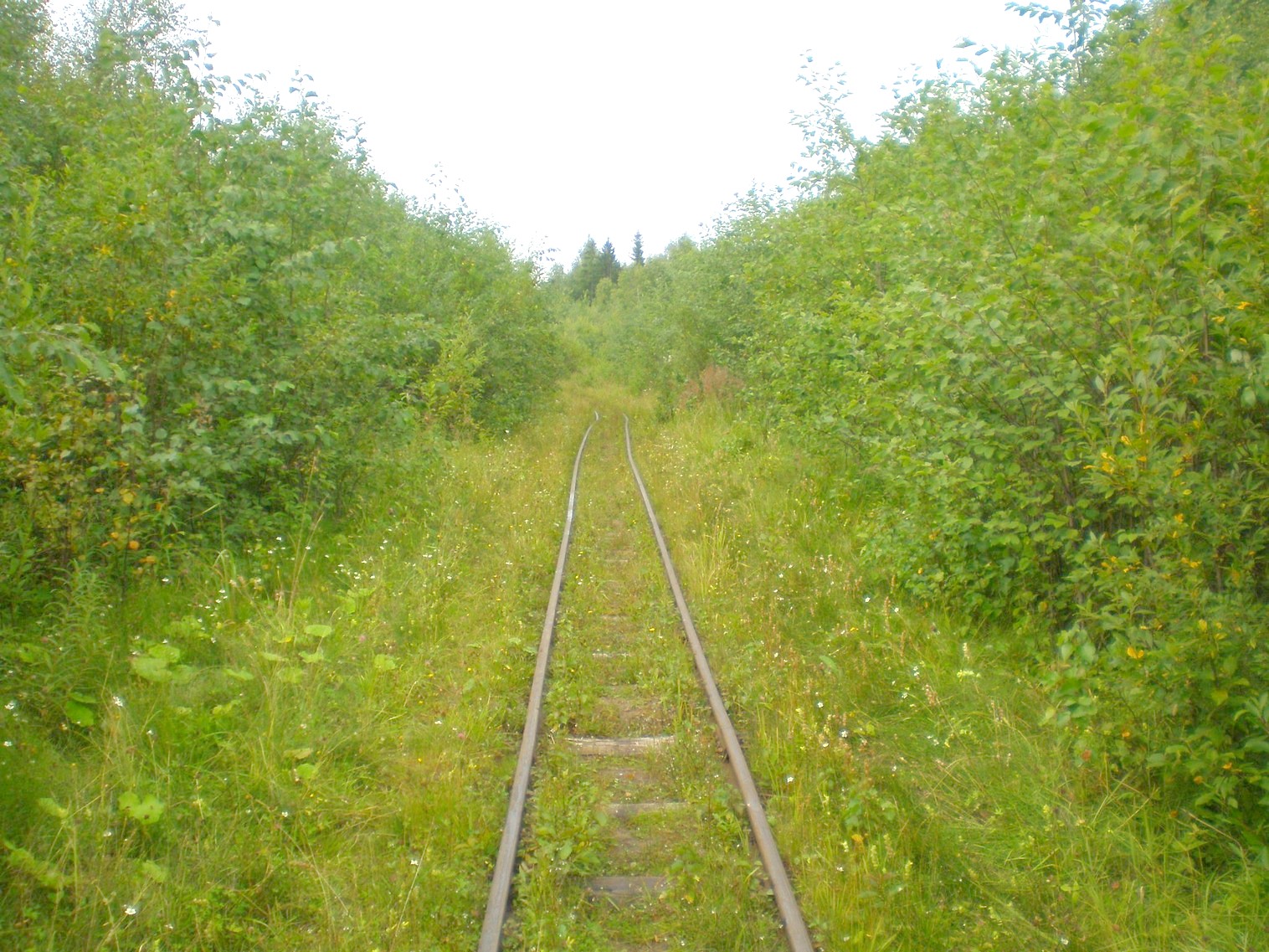 Митинская узкоколейная железная дорога 
  —  фотографии, сделанные в 2008 году (часть 7)