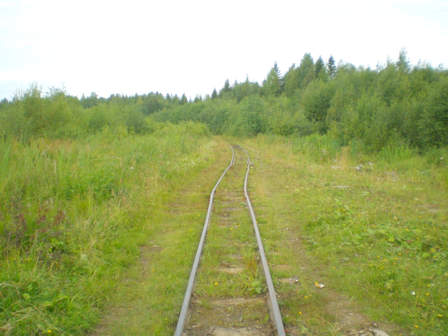 Митинская узкоколейная железная дорога 
  —  фотографии, сделанные в 2008 году (часть 8)