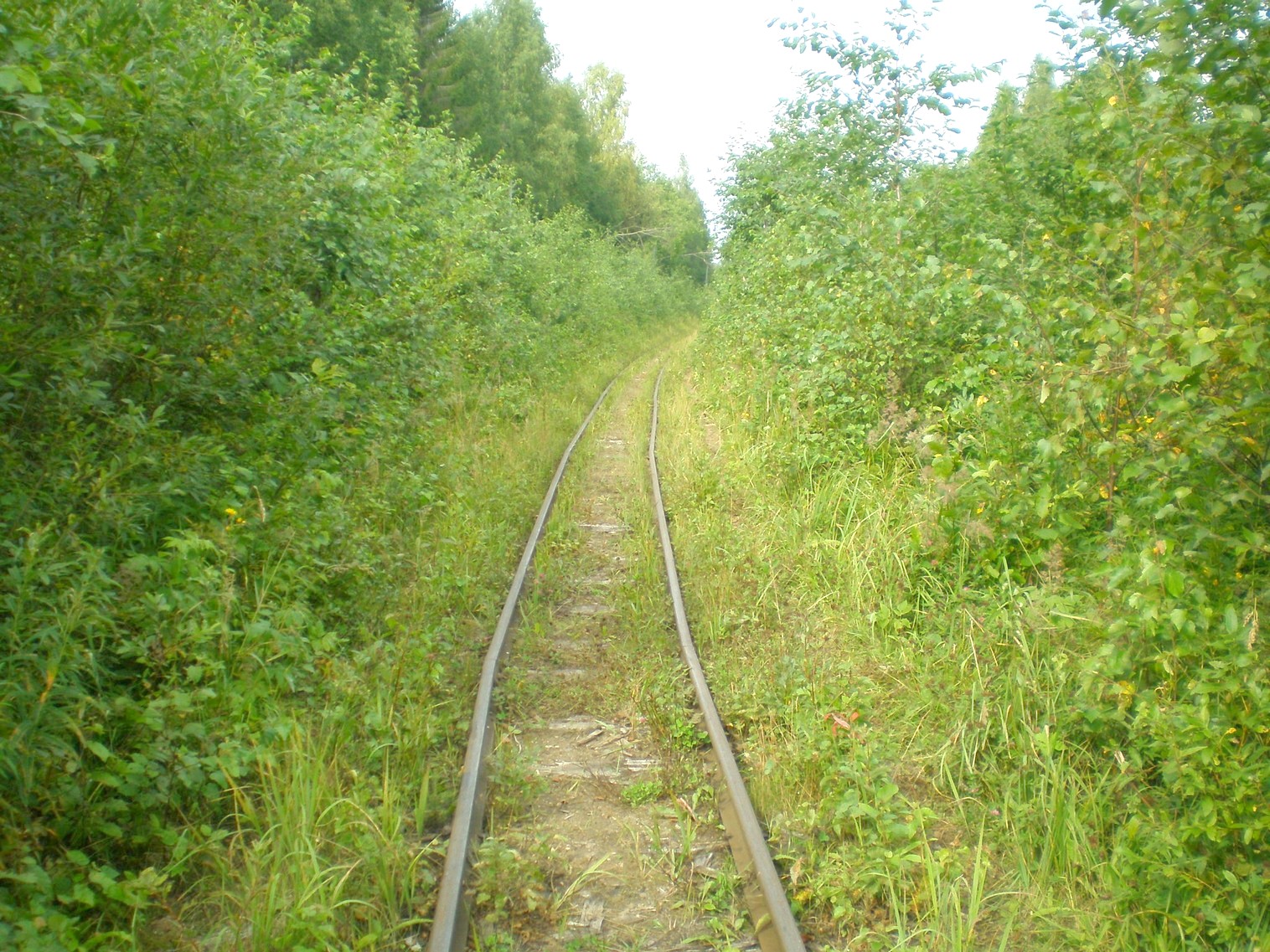 Митинская узкоколейная железная дорога 
  —  фотографии, сделанные в 2008 году (часть 9)