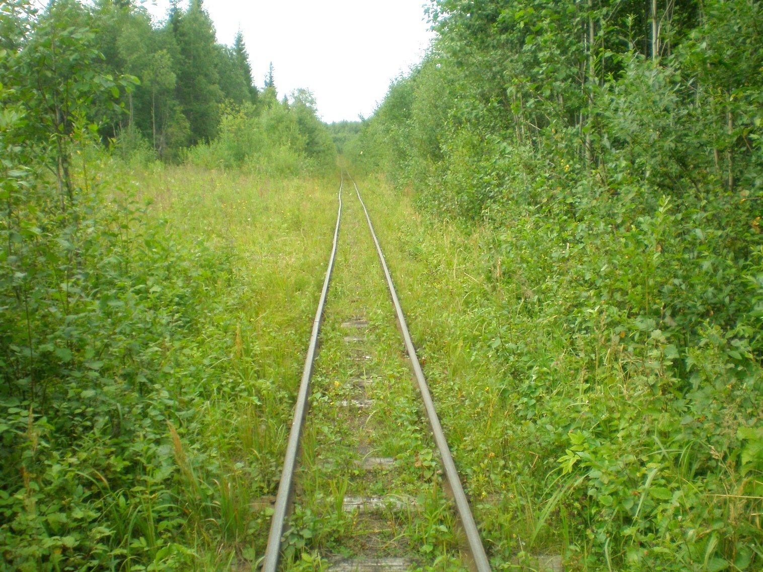 Митинская узкоколейная железная дорога 
  —  фотографии, сделанные в 2008 году (часть 10)