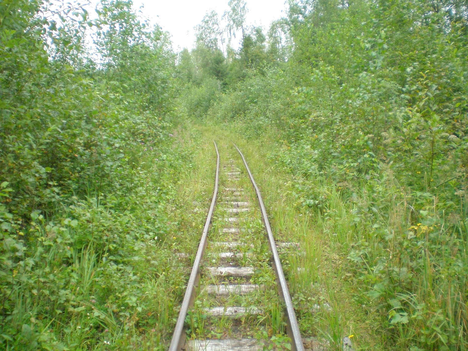 Митинская узкоколейная железная дорога 
  —  фотографии, сделанные в 2008 году (часть 13)