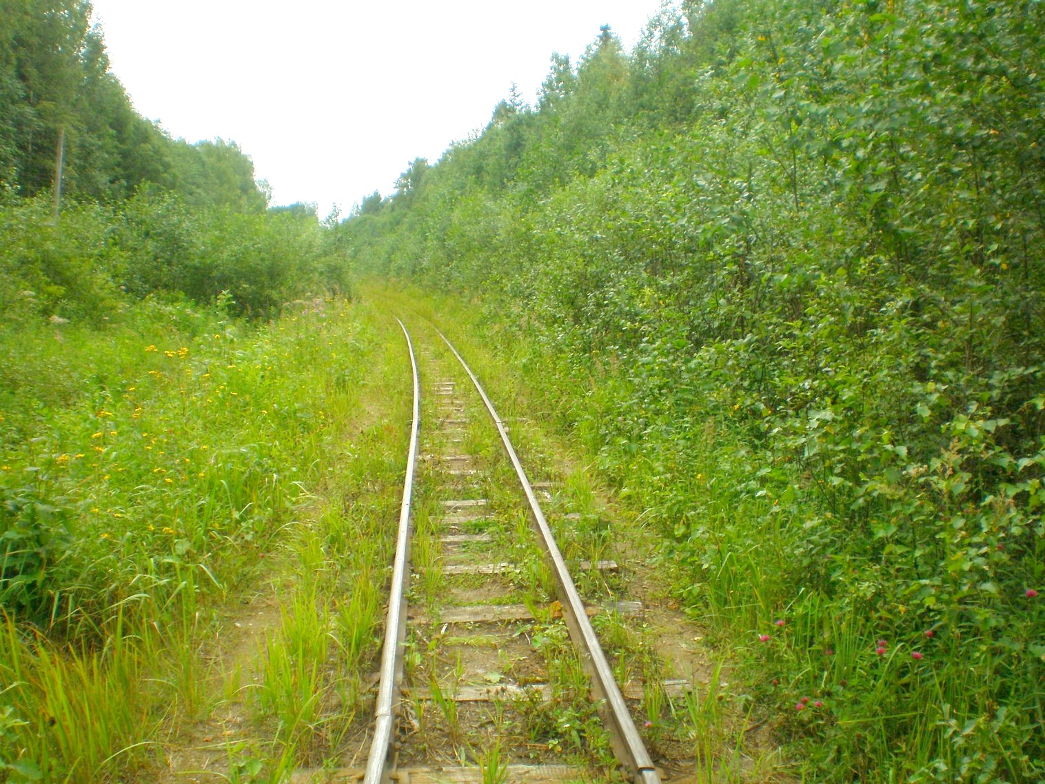 Митинская узкоколейная железная дорога 
  —  фотографии, сделанные в 2008 году (часть 15)