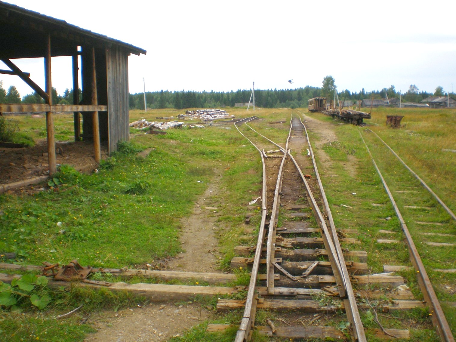 Митинская узкоколейная железная дорога 
  —  фотографии, сделанные в 2008 году (часть 16)