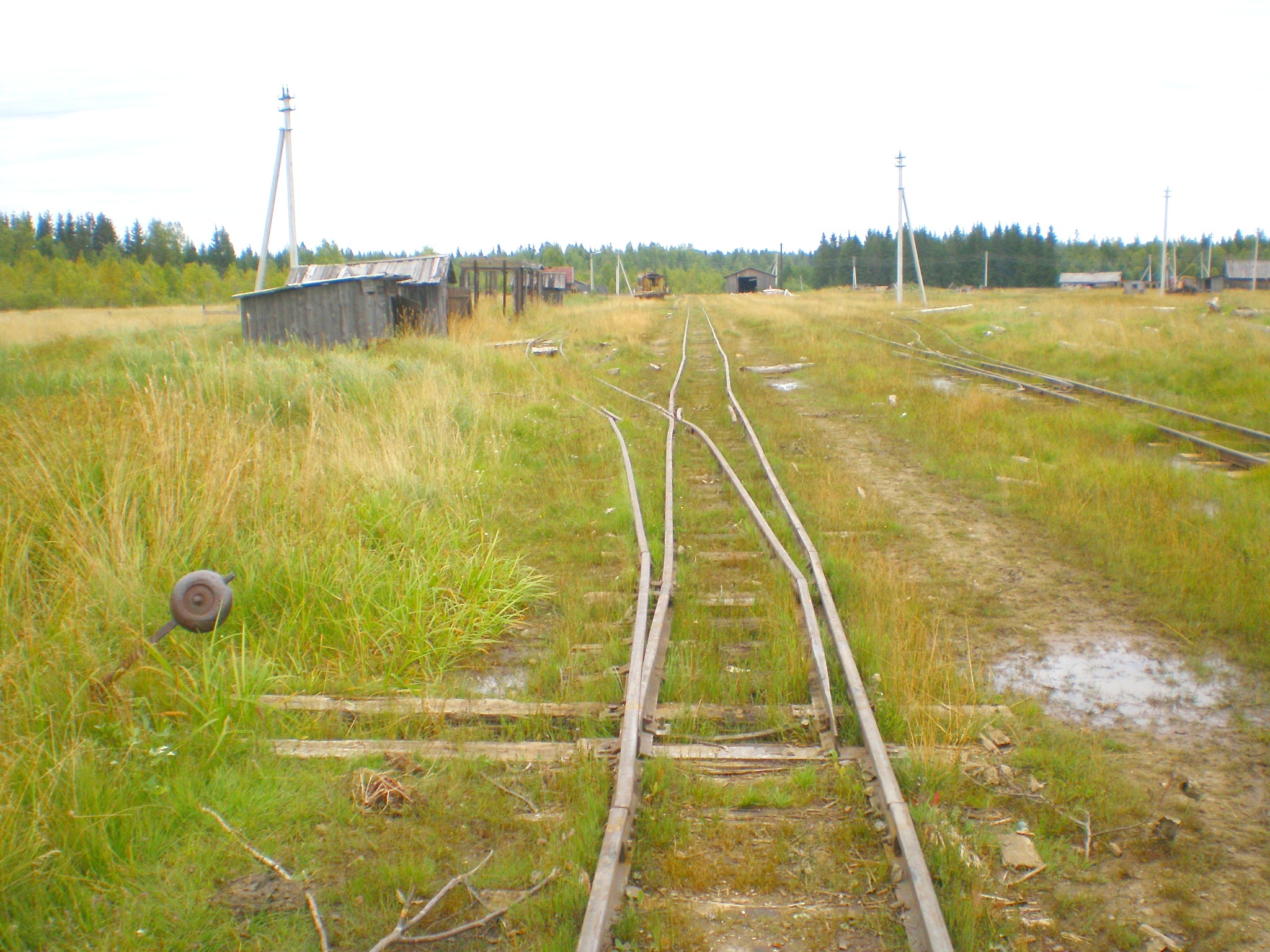 Митинская узкоколейная железная дорога 
  —  фотографии, сделанные в 2008 году (часть 18)