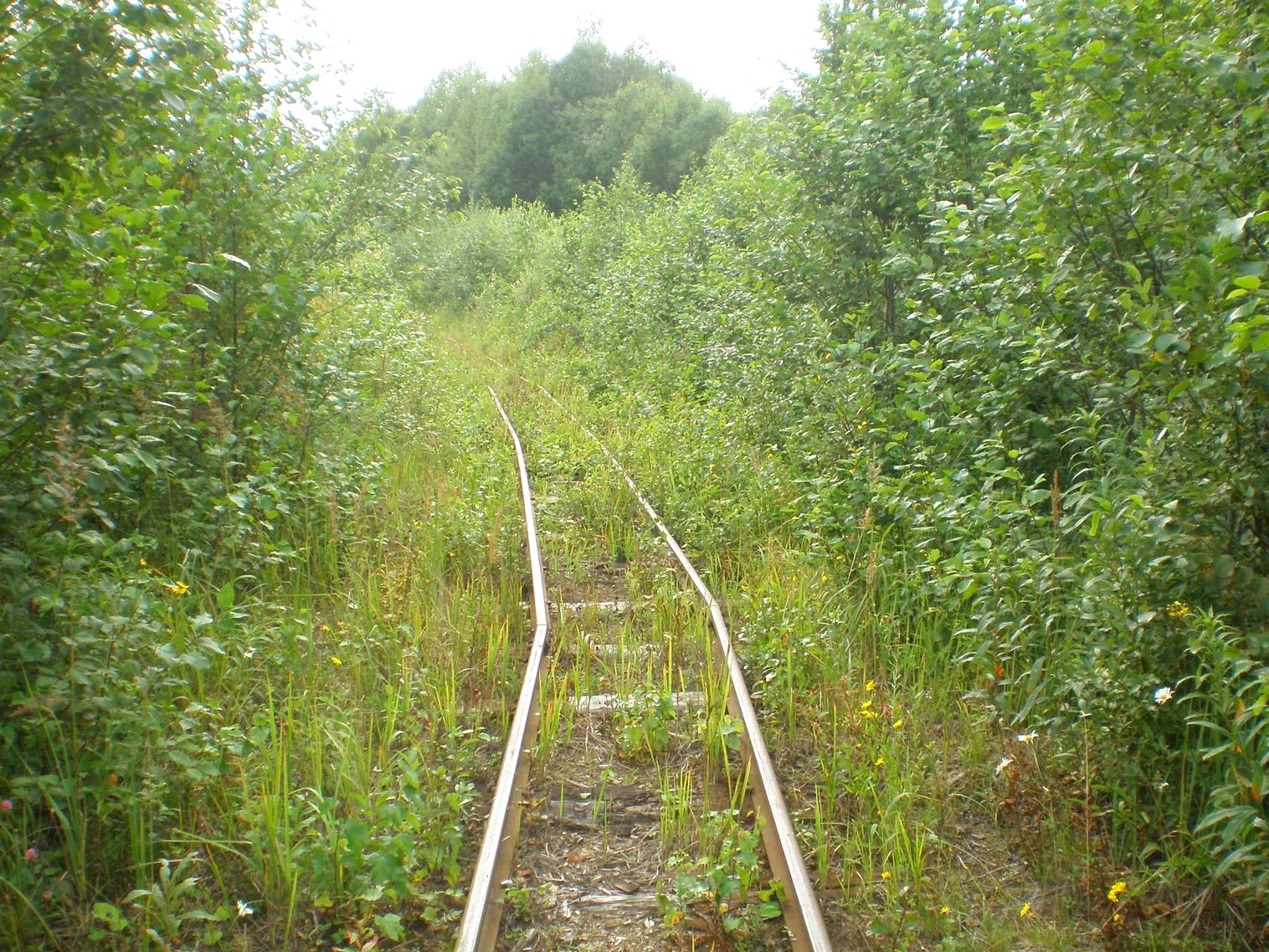 Митинская узкоколейная железная дорога 
  —  фотографии, сделанные в 2008 году (часть 23)
