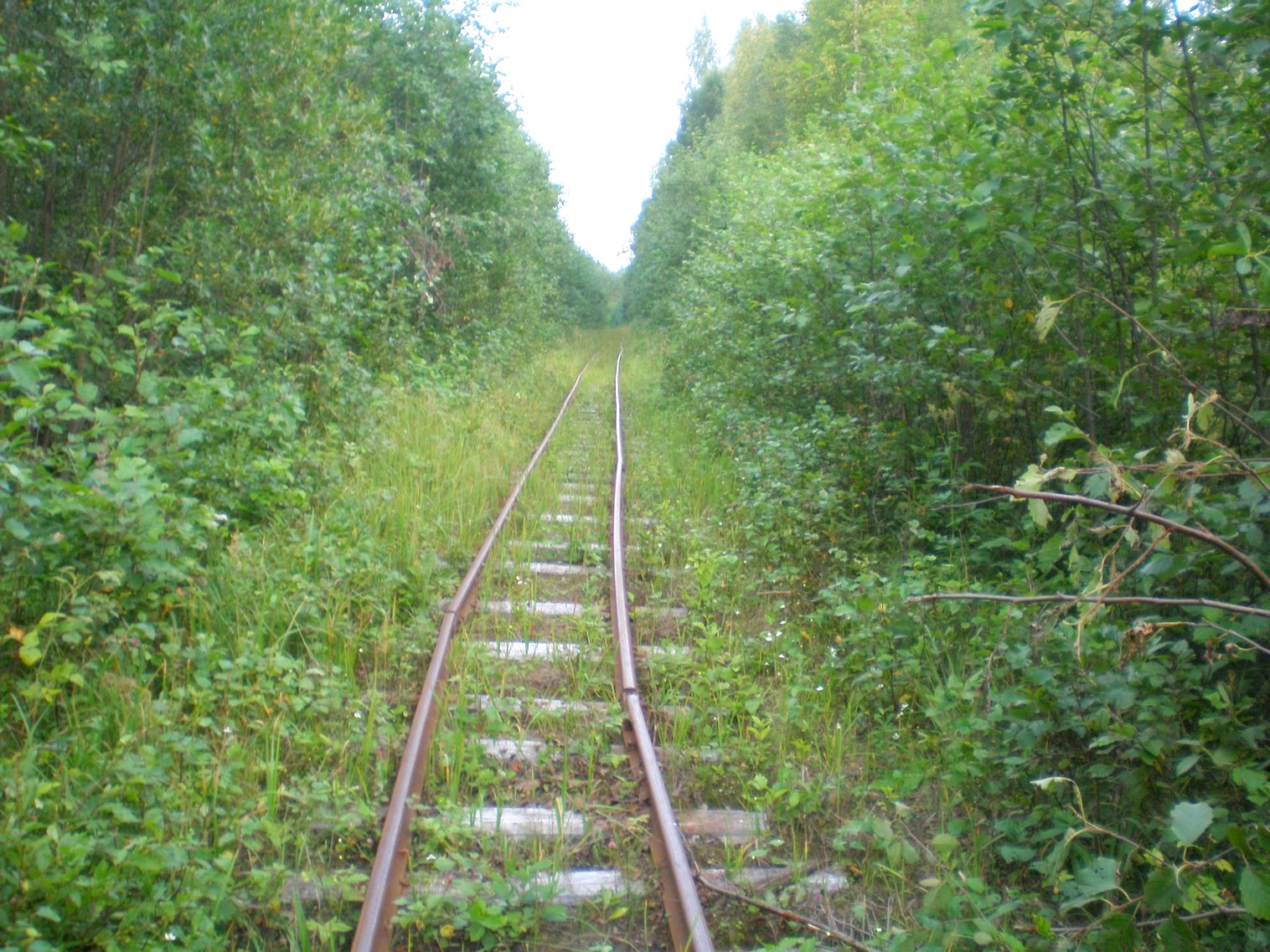 Митинская узкоколейная железная дорога 
  —  фотографии, сделанные в 2008 году (часть 28)
