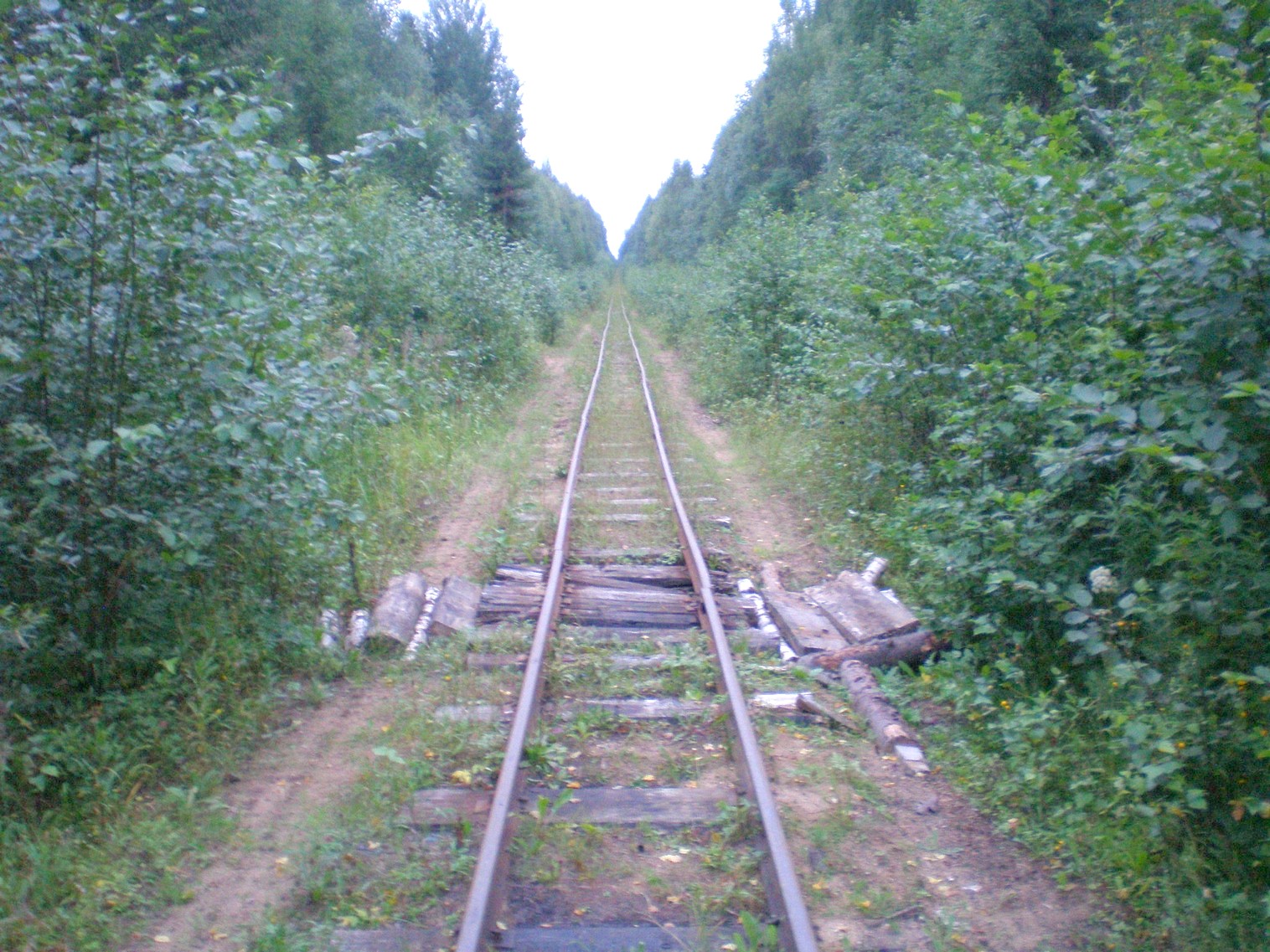 Митинская узкоколейная железная дорога 
  —  фотографии, сделанные в 2008 году (часть 31)