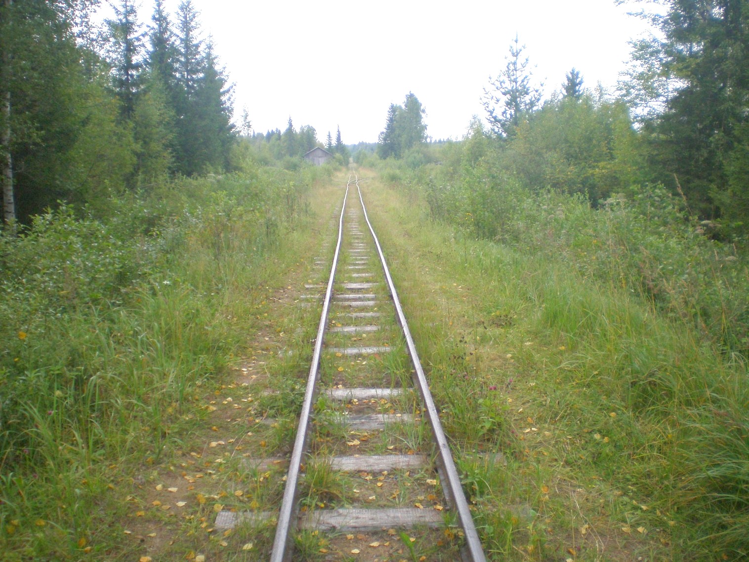 Митинская узкоколейная железная дорога 
  —  фотографии, сделанные в 2008 году (часть 32)