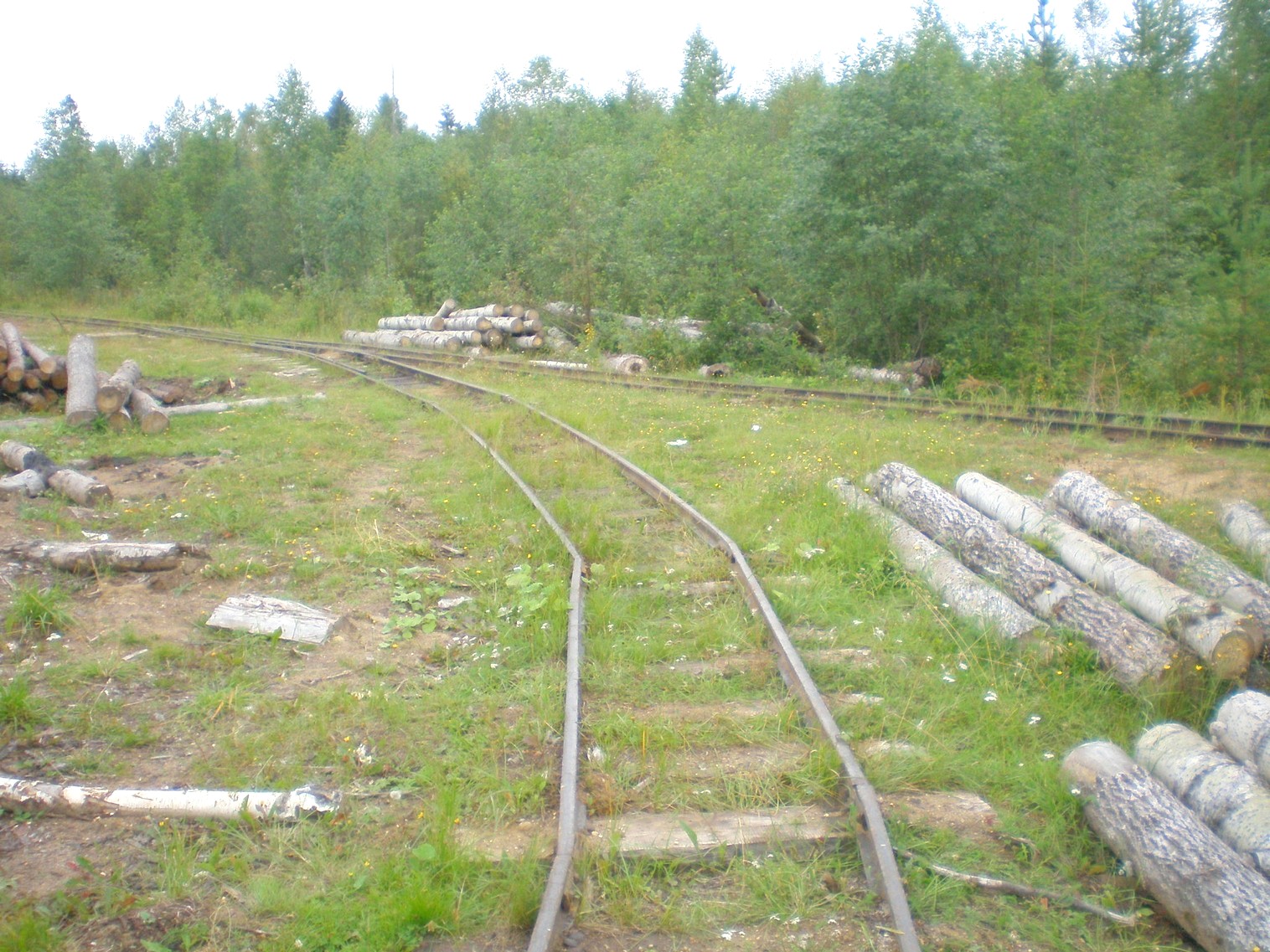Митинская узкоколейная железная дорога 
  —  фотографии, сделанные в 2008 году (часть 33)