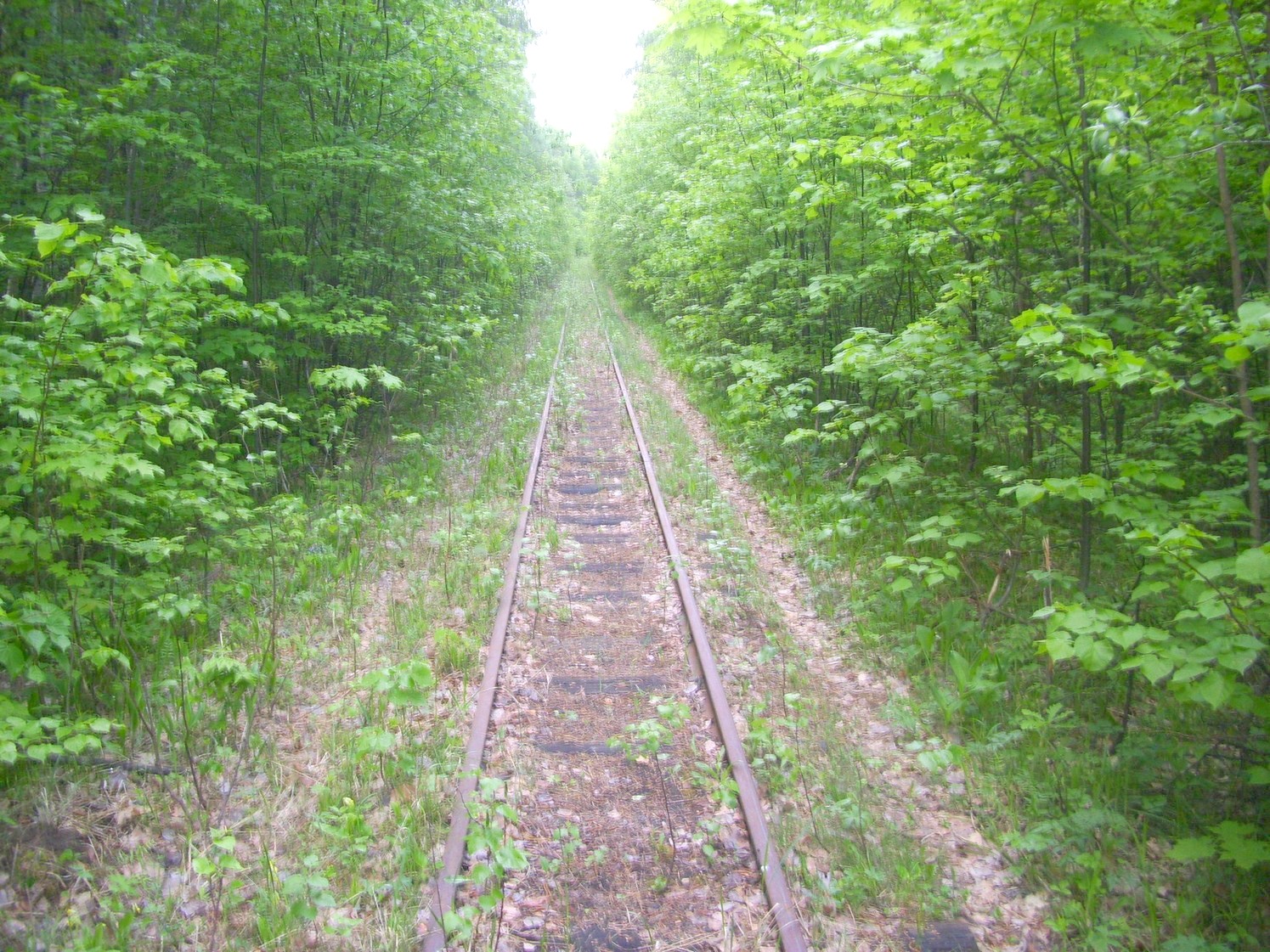 Узкоколейная железная дорога Никольского стекольного завода 
  —  фотографии, сделанные в 2010 году (часть 11)