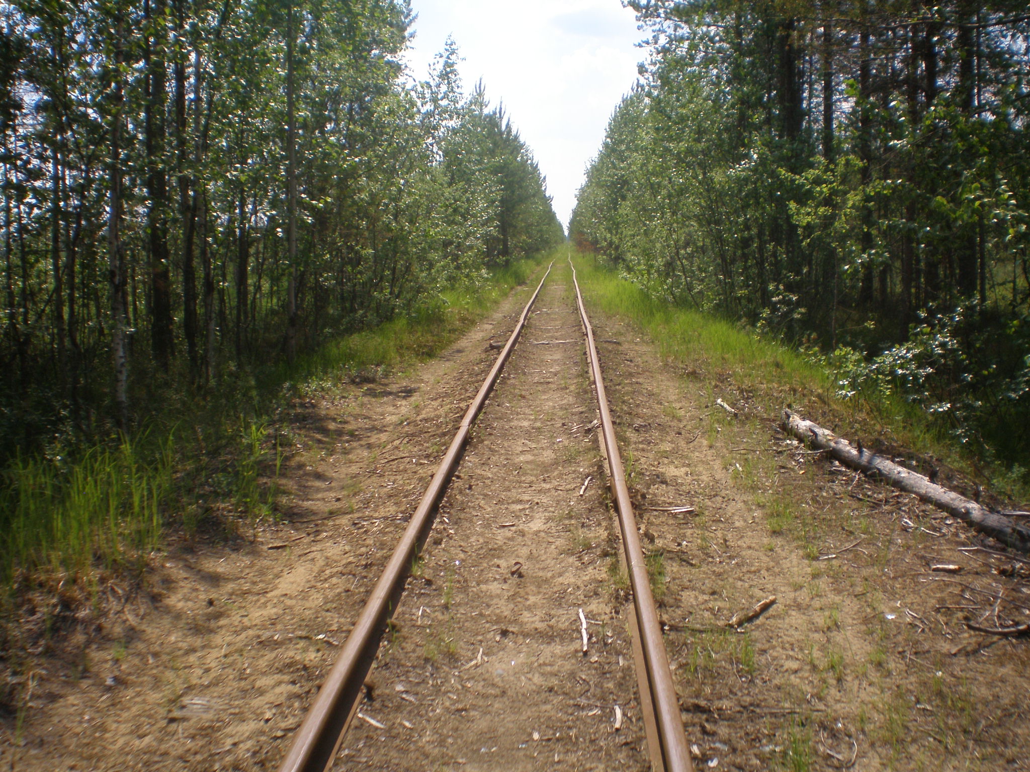 Смолянская узкоколейная железная дорога  —  фотографии, сделанные в 2008 году (часть 3)