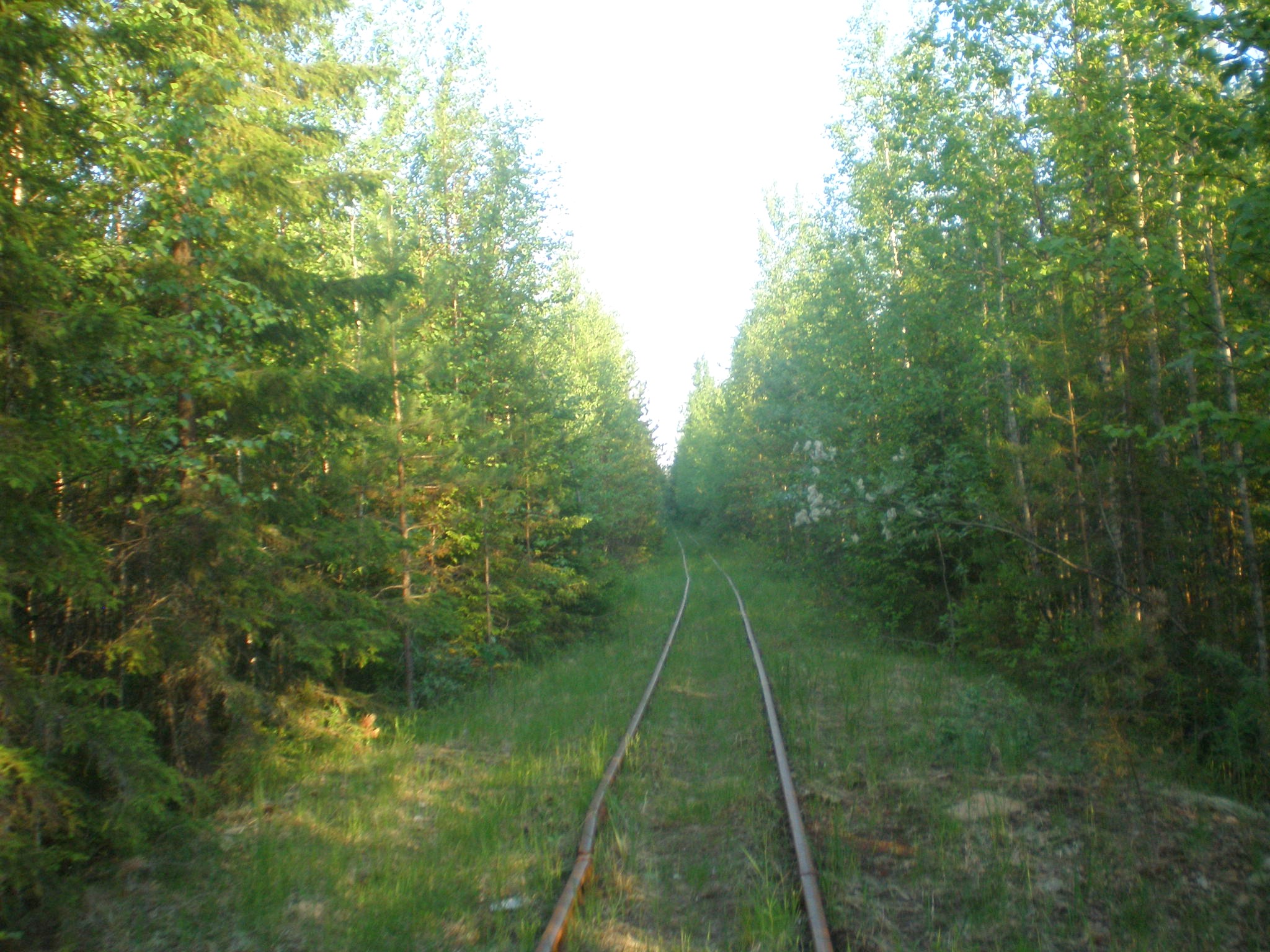 Смолянская узкоколейная железная дорога  —  фотографии, сделанные в 2008 году (часть 5)