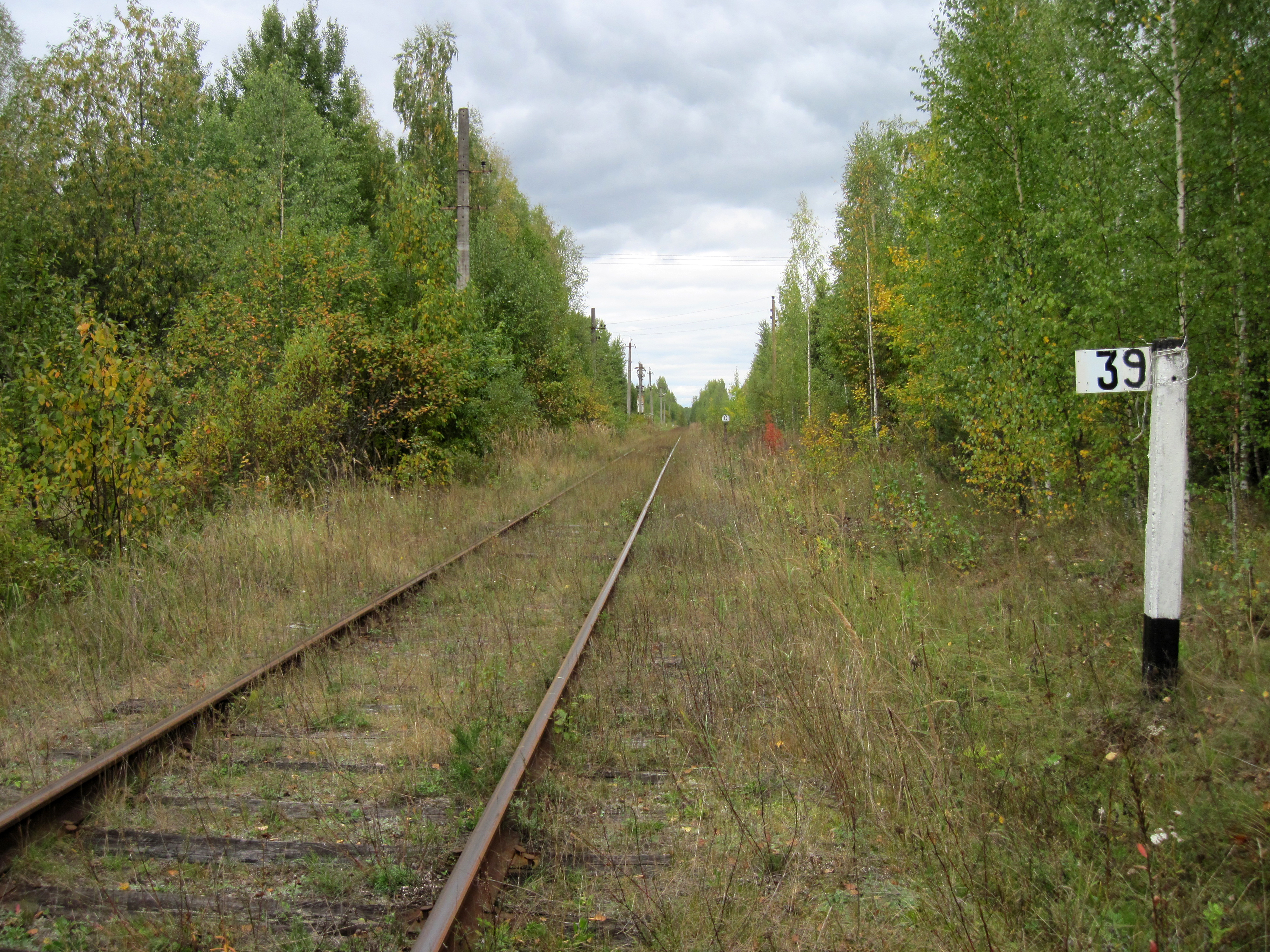Железнодорожная линия Окуловка  — Неболчи  —  фотографии, сделанные в 2022 году