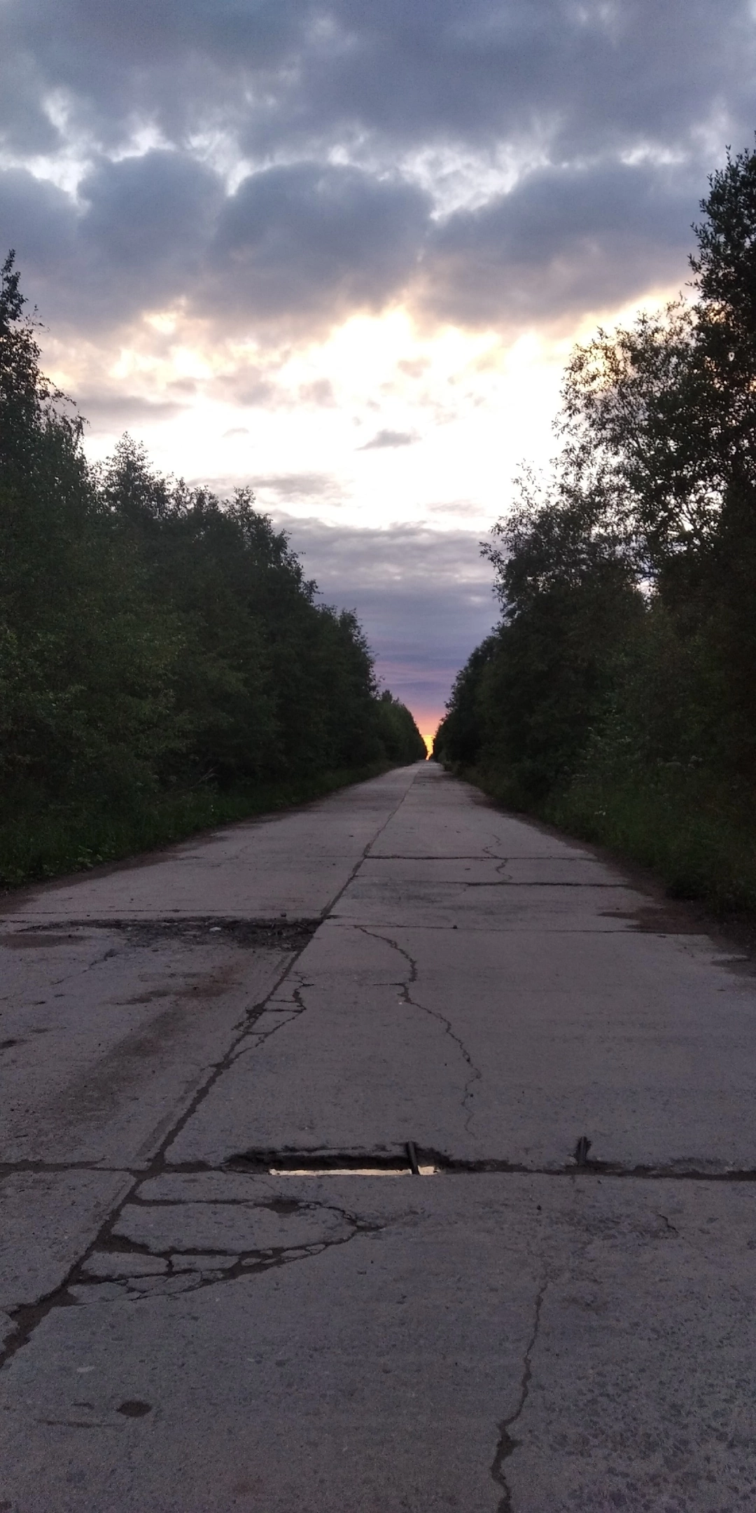 08.2023. Автомобильная дорога Североонежск - Ундозеро. Слева в 200 метров в лесу проходит железная дорога