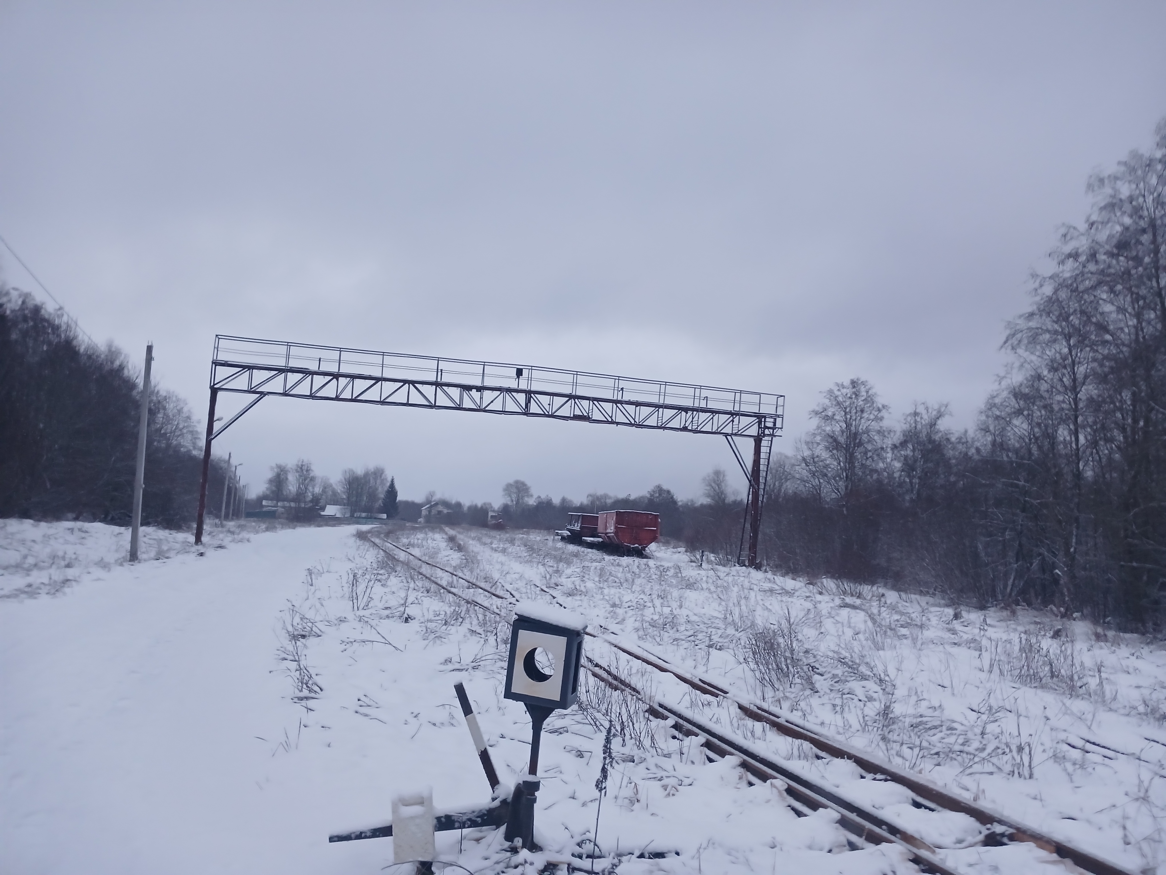 Узкоколейная железная дорога Тёсовского транспортного управления  —  фотографии, сделанные в 2025 году (часть 5)