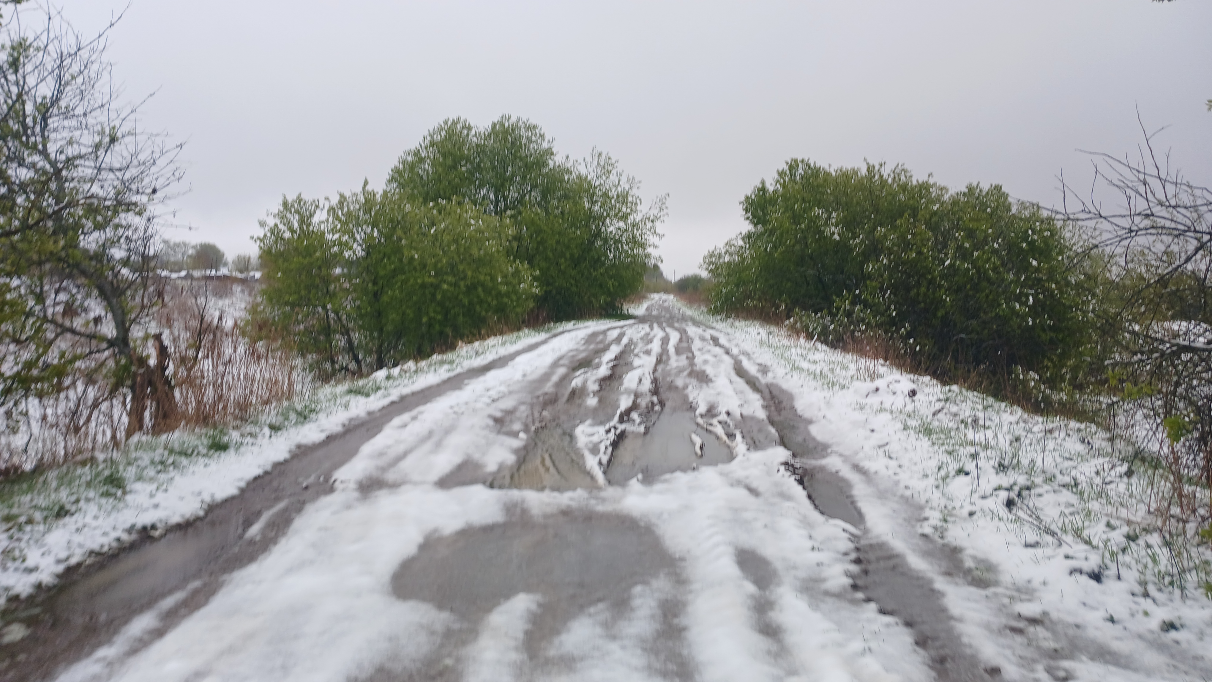 Узкоколейная железная дорога Берендеевского торфопредприятия — фотографии, сделанные в 2025 году (часть 3) Узкоколейная железная дорога Берендеевского торфопредприятия — фотографии, сделанные в 2025 году (часть 3)