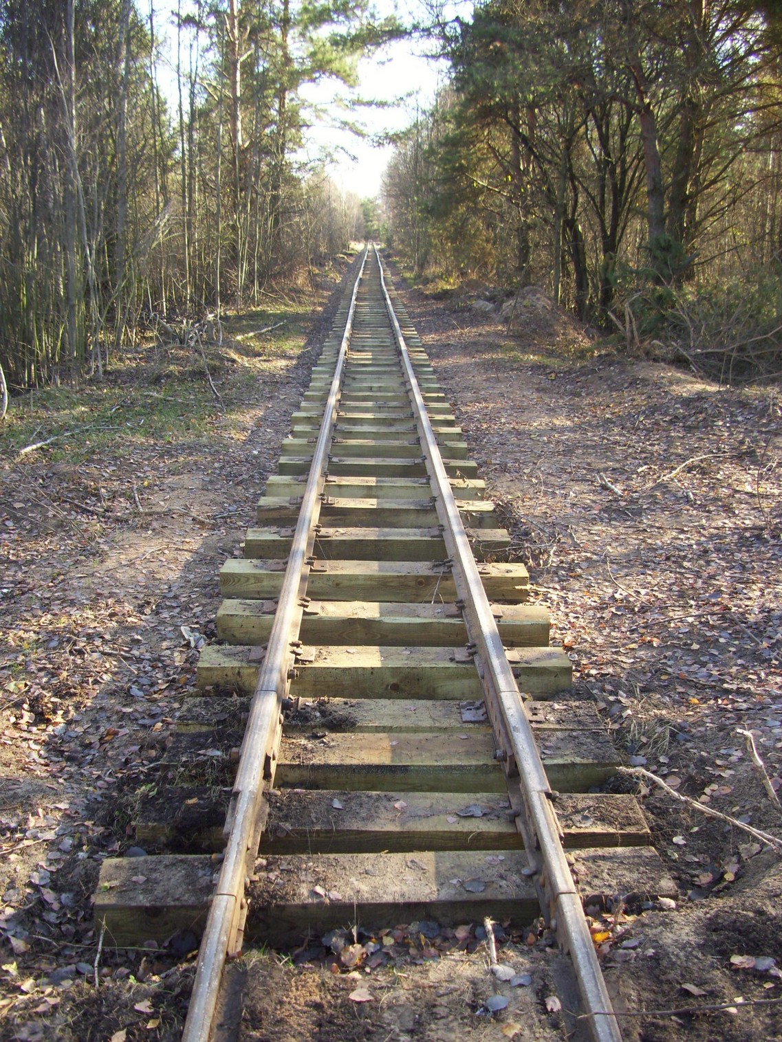 Узкоколейная  железная дорога торфобрикетного завода Березино —  фотографии, сделанные в 2011 году (часть 6)