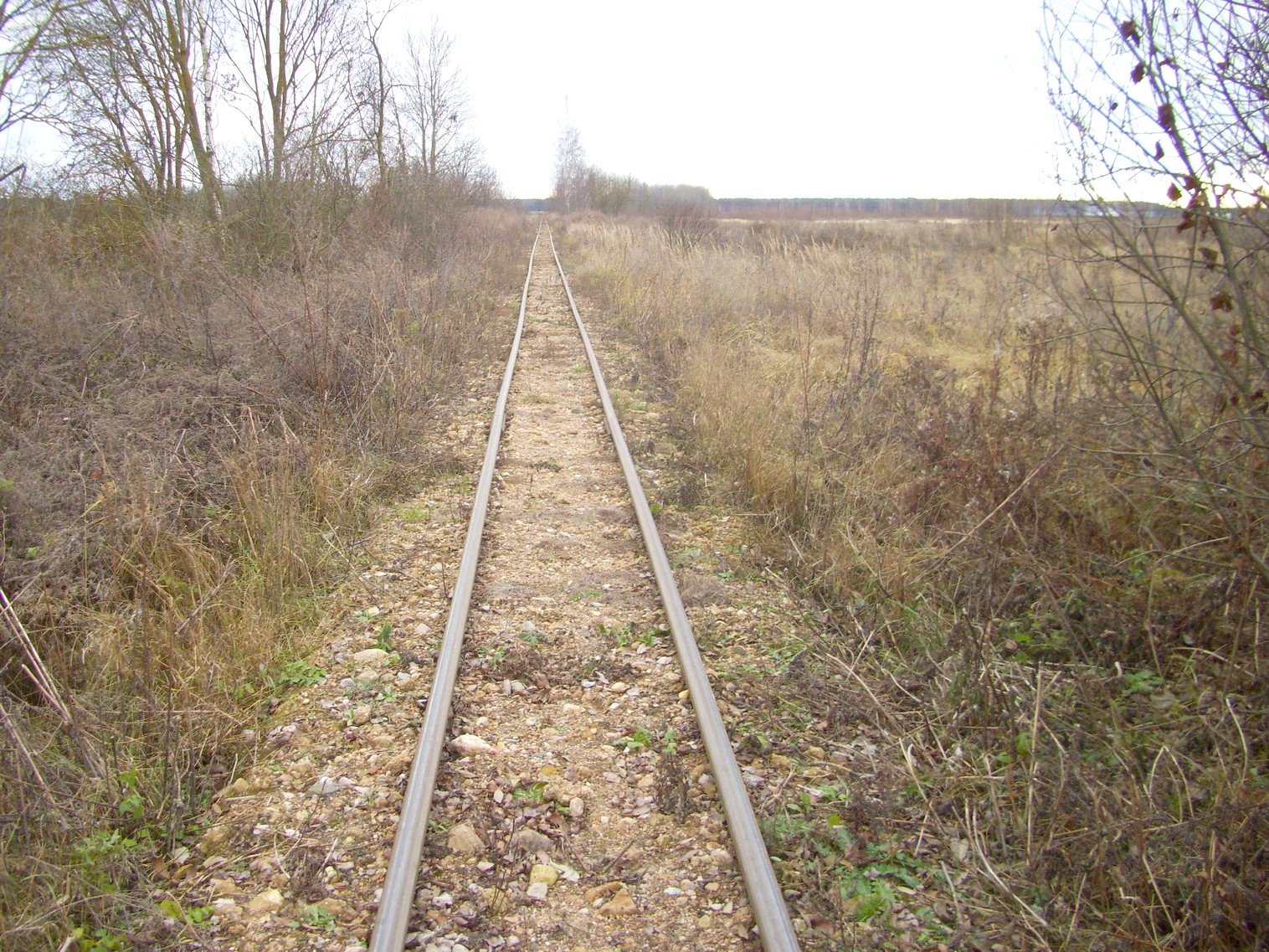 Узкоколейная  железная дорога торфобрикетного завода Березино —  фотографии, сделанные в 2011 году (часть 11)