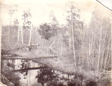 Папуловская узкоколейная железная дорога — исторические фотографии