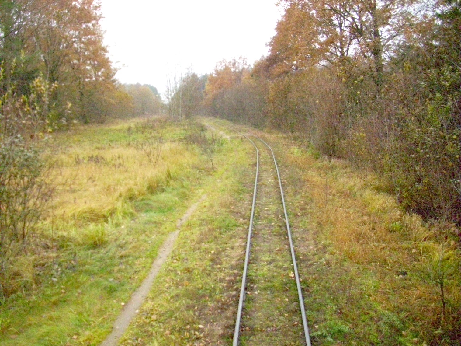 Узкоколейная  железная дорога торфопредприятия «Дитва»   —  фотографии, сделанные в 2011 году (часть 6)