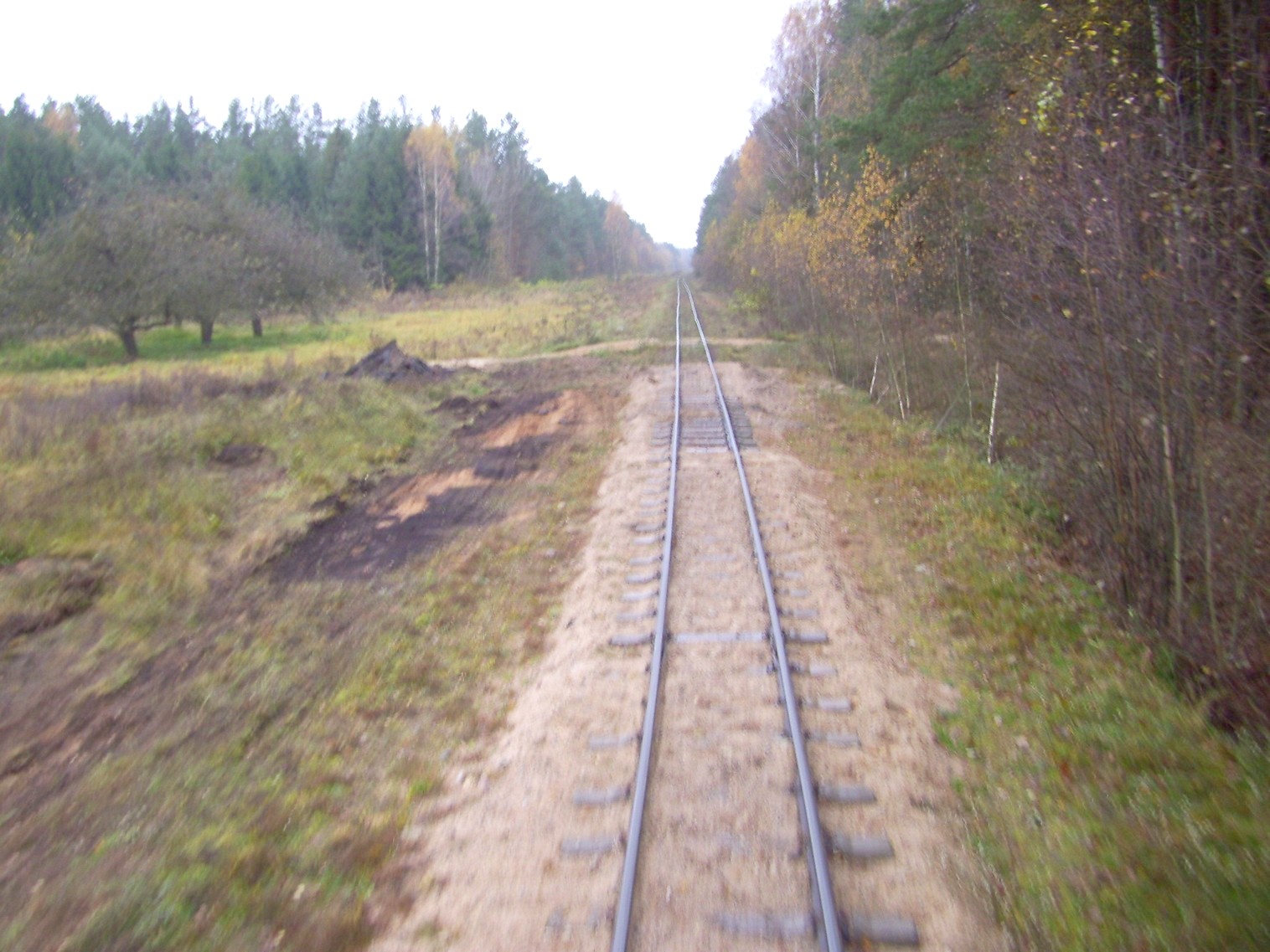 Узкоколейная  железная дорога торфопредприятия «Дитва»   —  фотографии, сделанные в 2011 году (часть 7)
