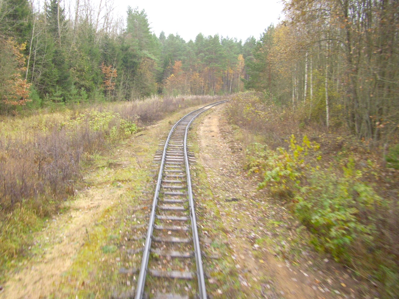 Узкоколейная  железная дорога торфопредприятия «Дитва»   —  фотографии, сделанные в 2011 году (часть 8)
