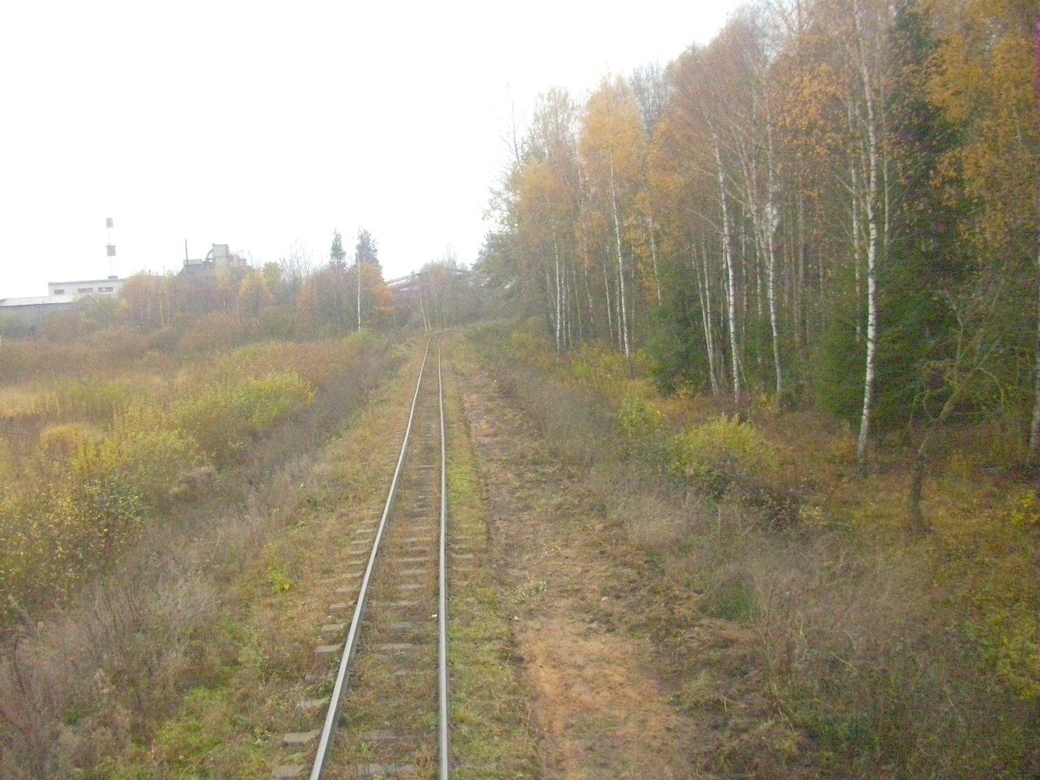 Узкоколейная  железная дорога торфопредприятия «Дитва»   —  фотографии, сделанные в 2011 году (часть 9)