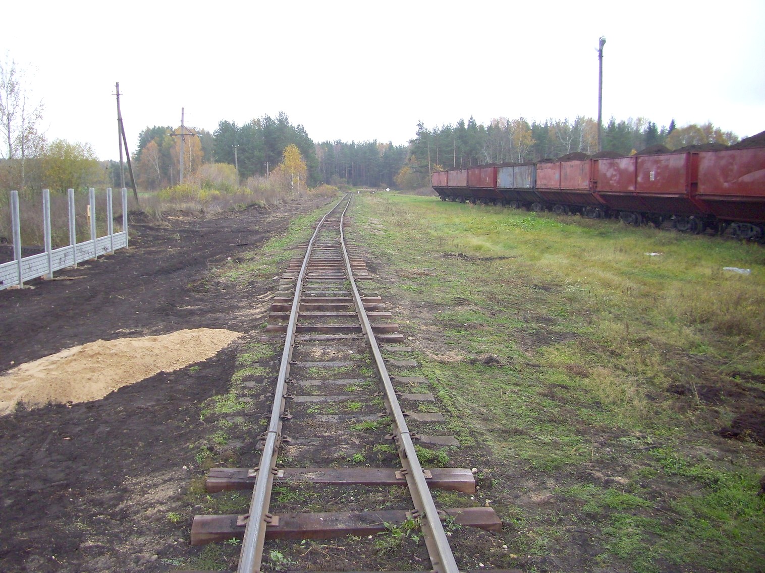 Узкоколейная  железная дорога торфопредприятия «Дитва»   —  фотографии, сделанные в 2011 году (часть 11)