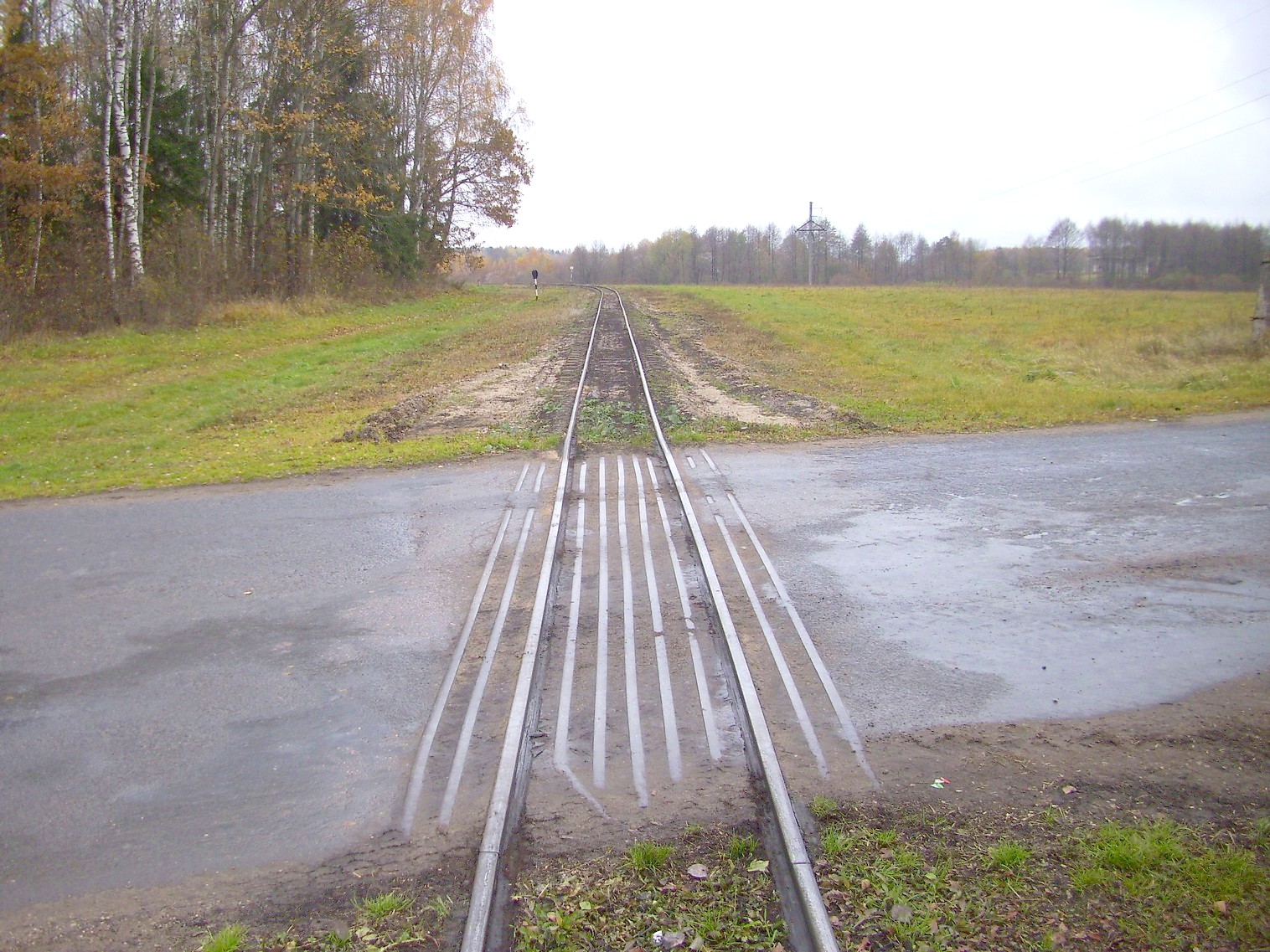 Узкоколейная  железная дорога торфопредприятия «Дитва»   —  фотографии, сделанные в 2011 году (часть 14)