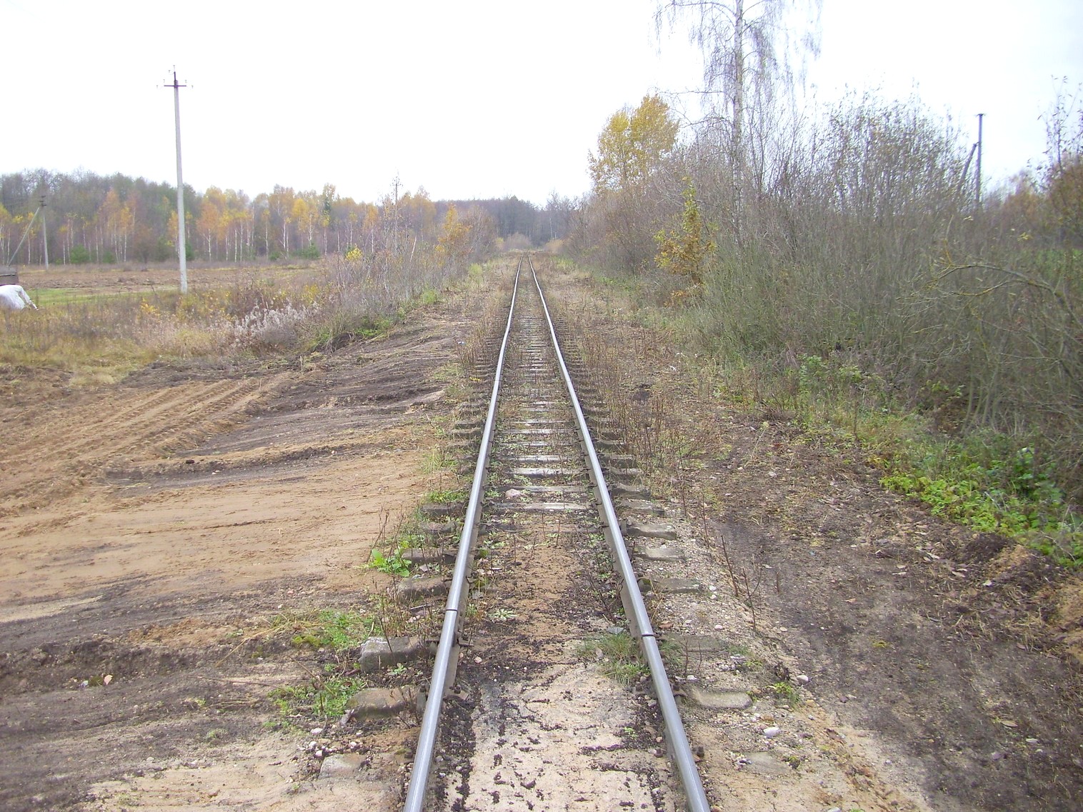 Узкоколейная  железная дорога торфопредприятия «Дитва»   —  фотографии, сделанные в 2011 году (часть 18)