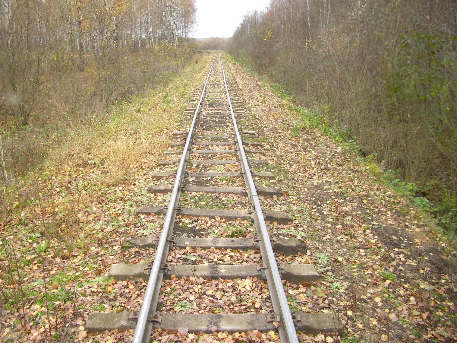 Узкоколейная  железная дорога торфопредприятия «Дитва»   —  фотографии, сделанные в 2011 году (часть 20)