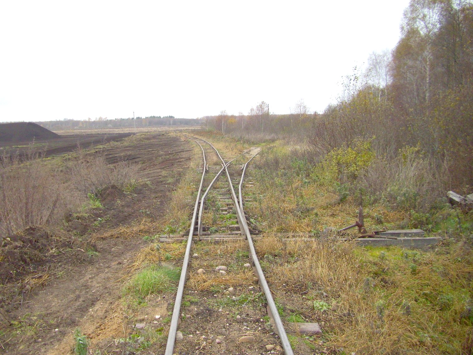 Узкоколейная  железная дорога торфопредприятия «Дитва»   —  фотографии, сделанные в 2011 году (часть 23)